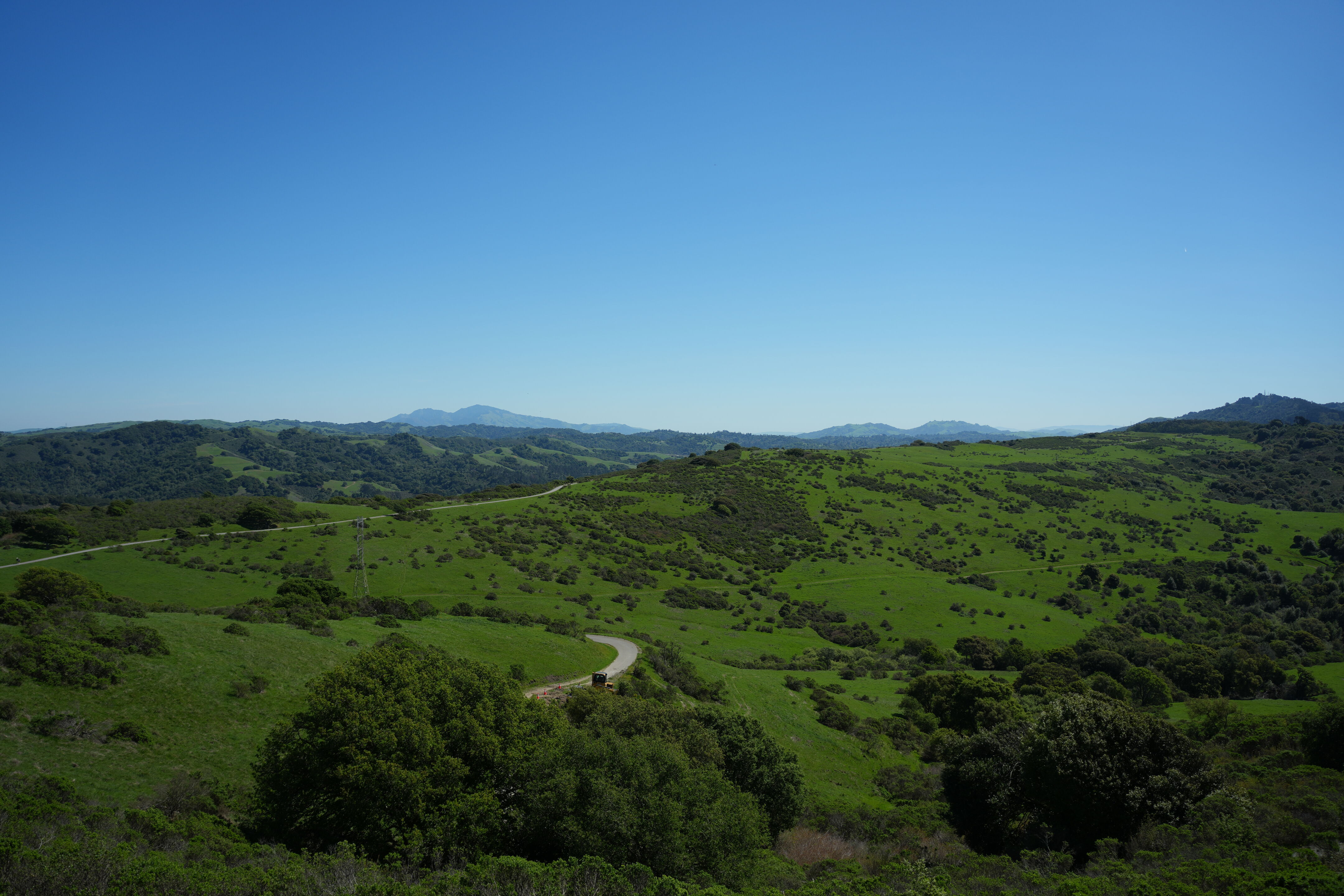 Wildcat Canyon Regional Park