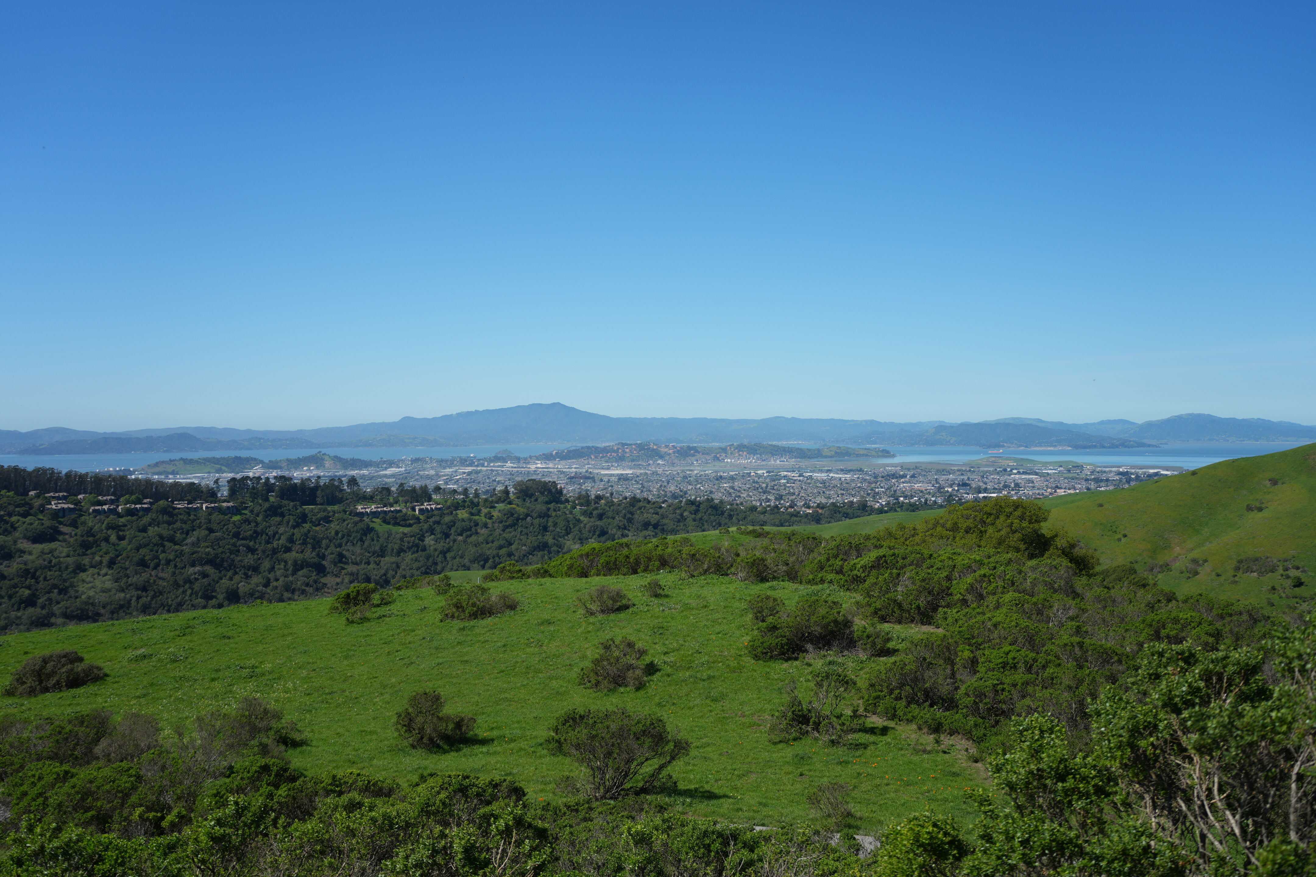 Wildcat Canyon Regional Park