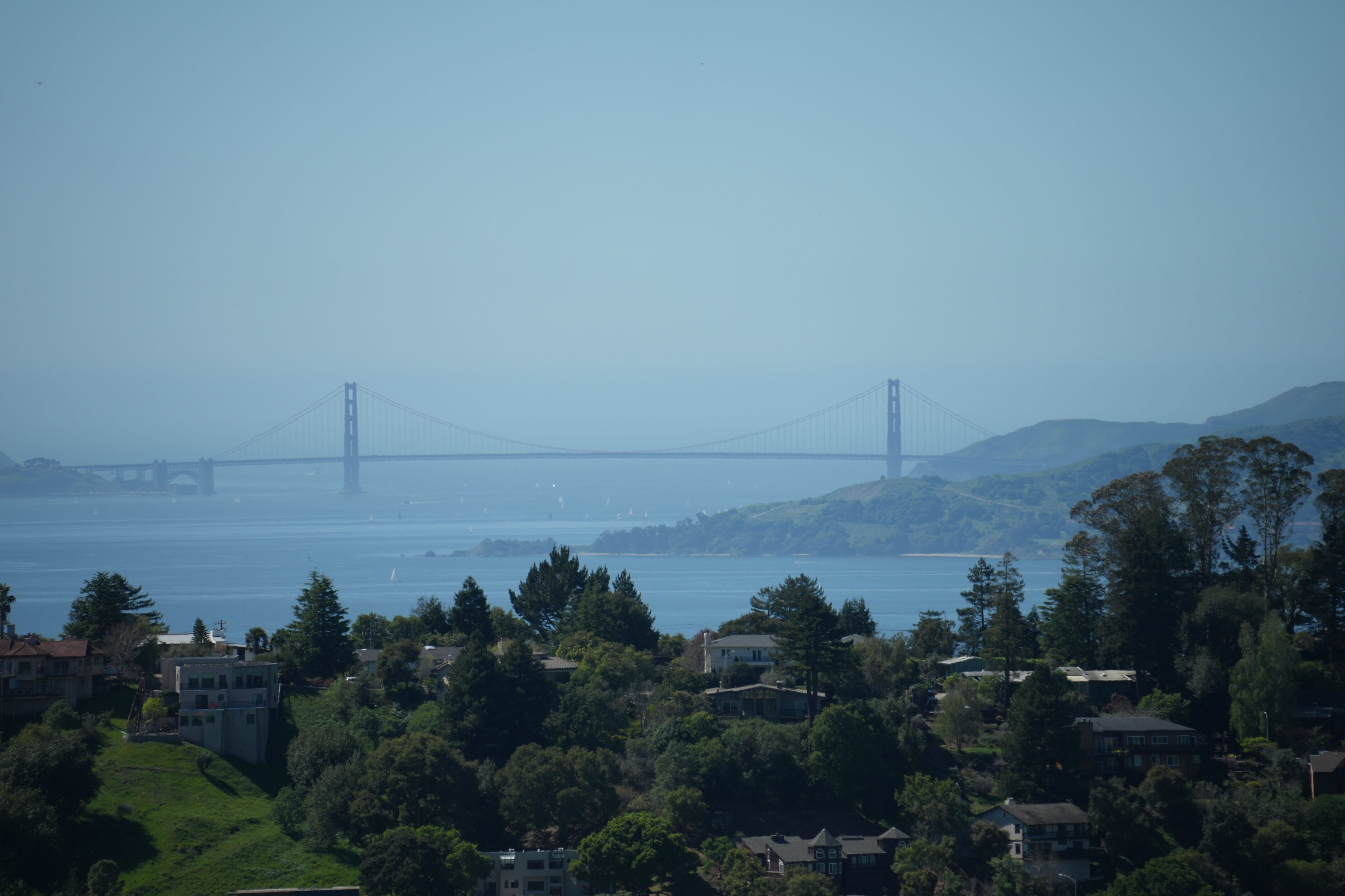 Wildcat Canyon Regional Park