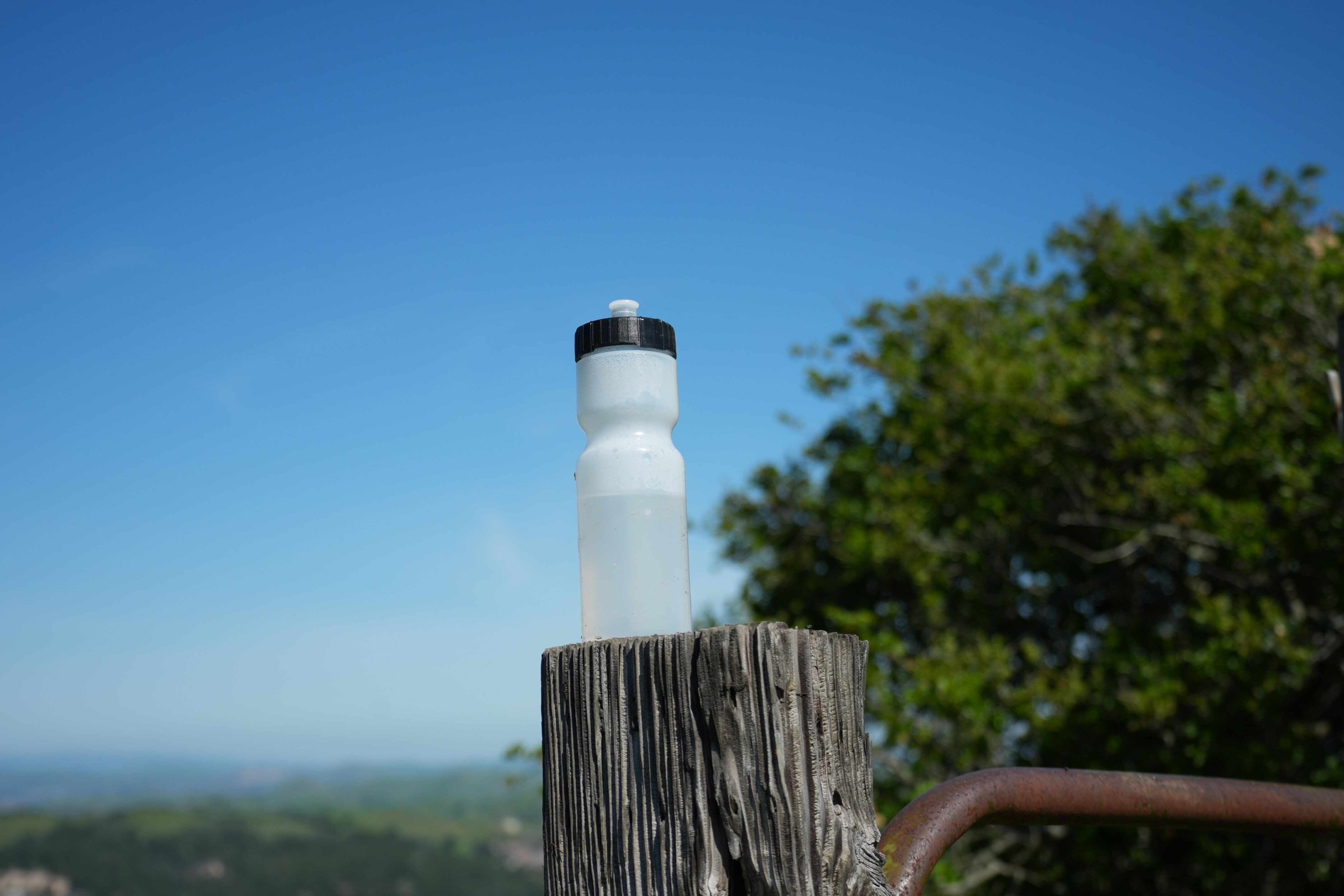 Wildcat Canyon Regional Park
