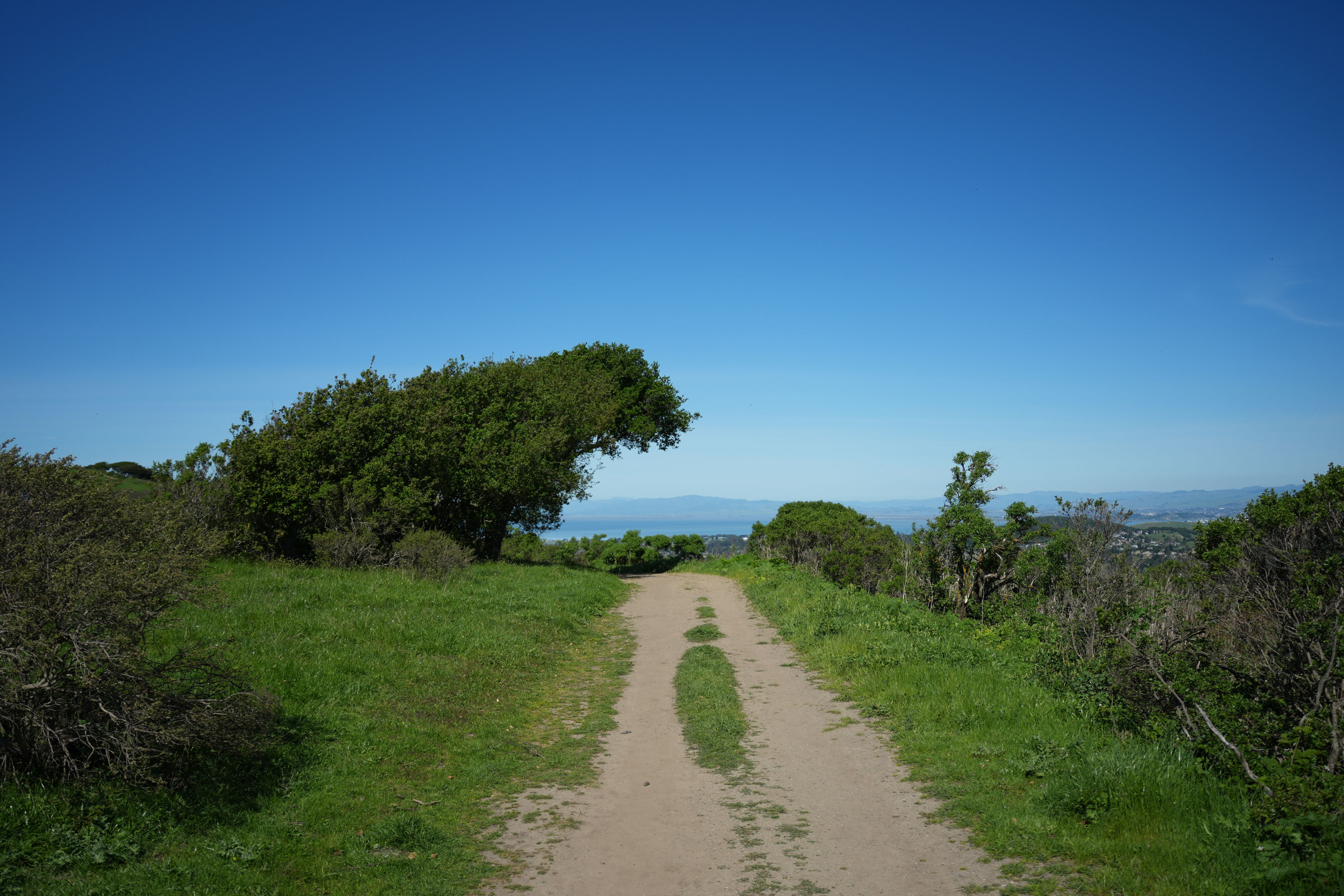 Wildcat Canyon Regional Park