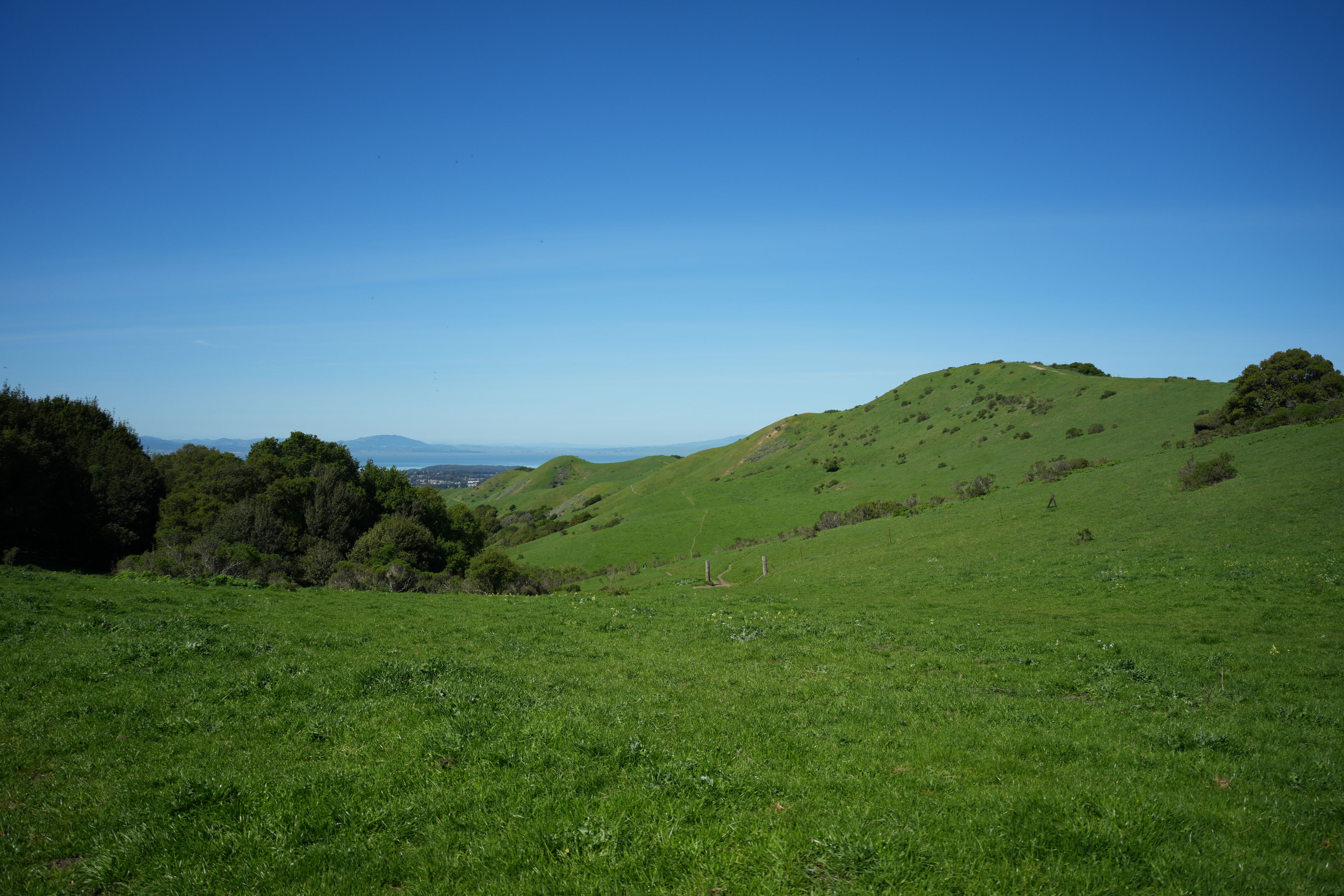 Wildcat Canyon Regional Park