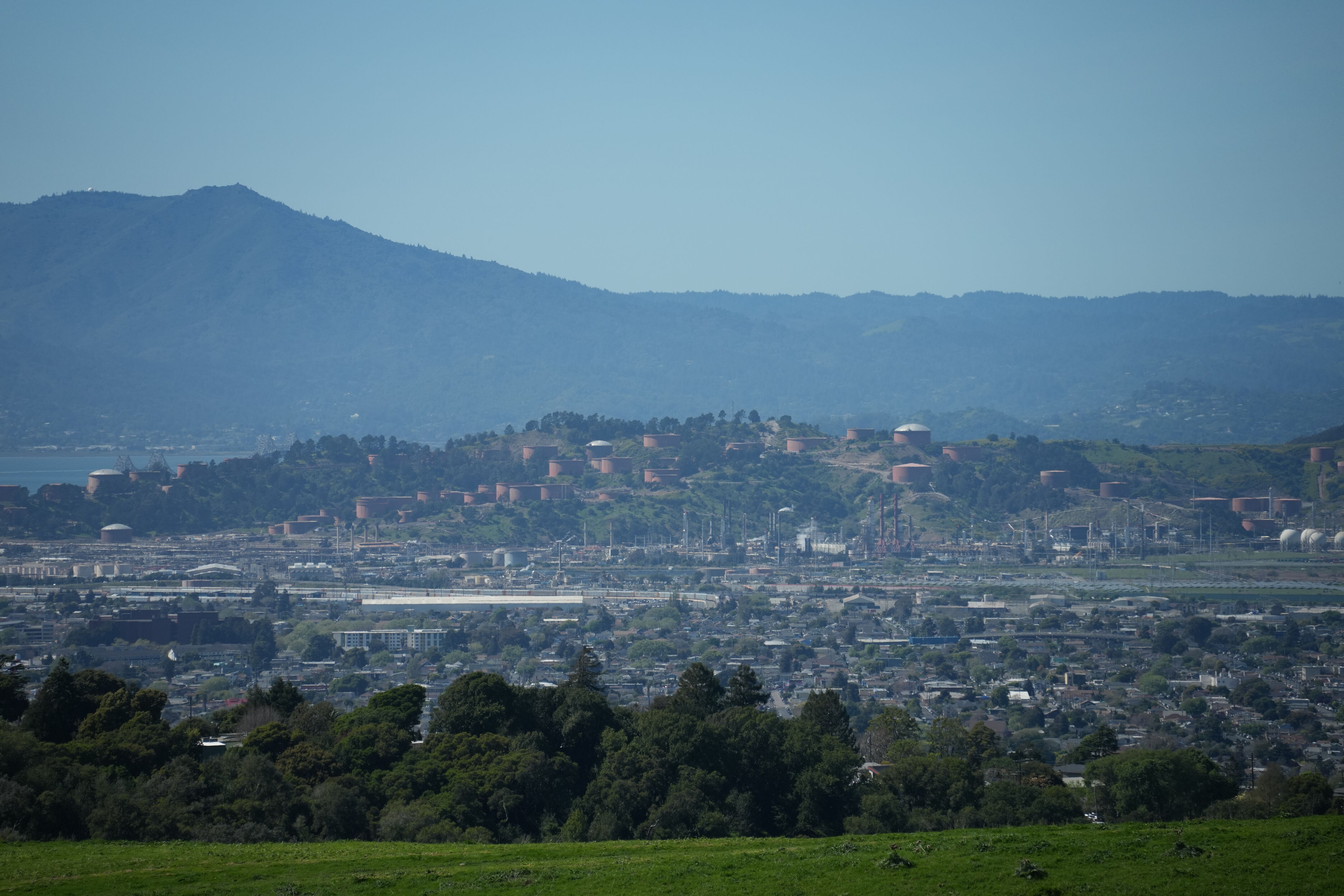 Wildcat Canyon Regional Park