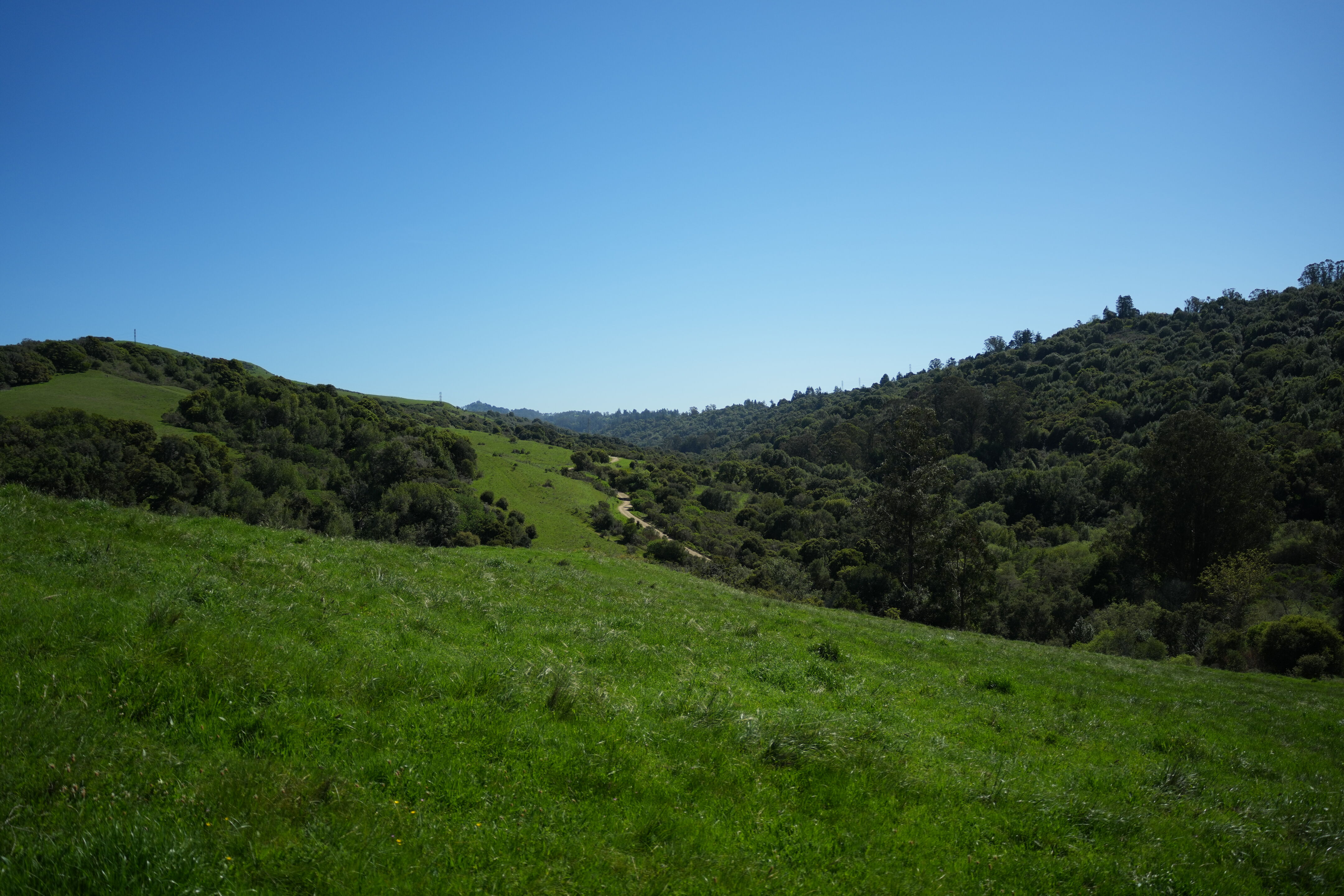 Wildcat Canyon Regional Park