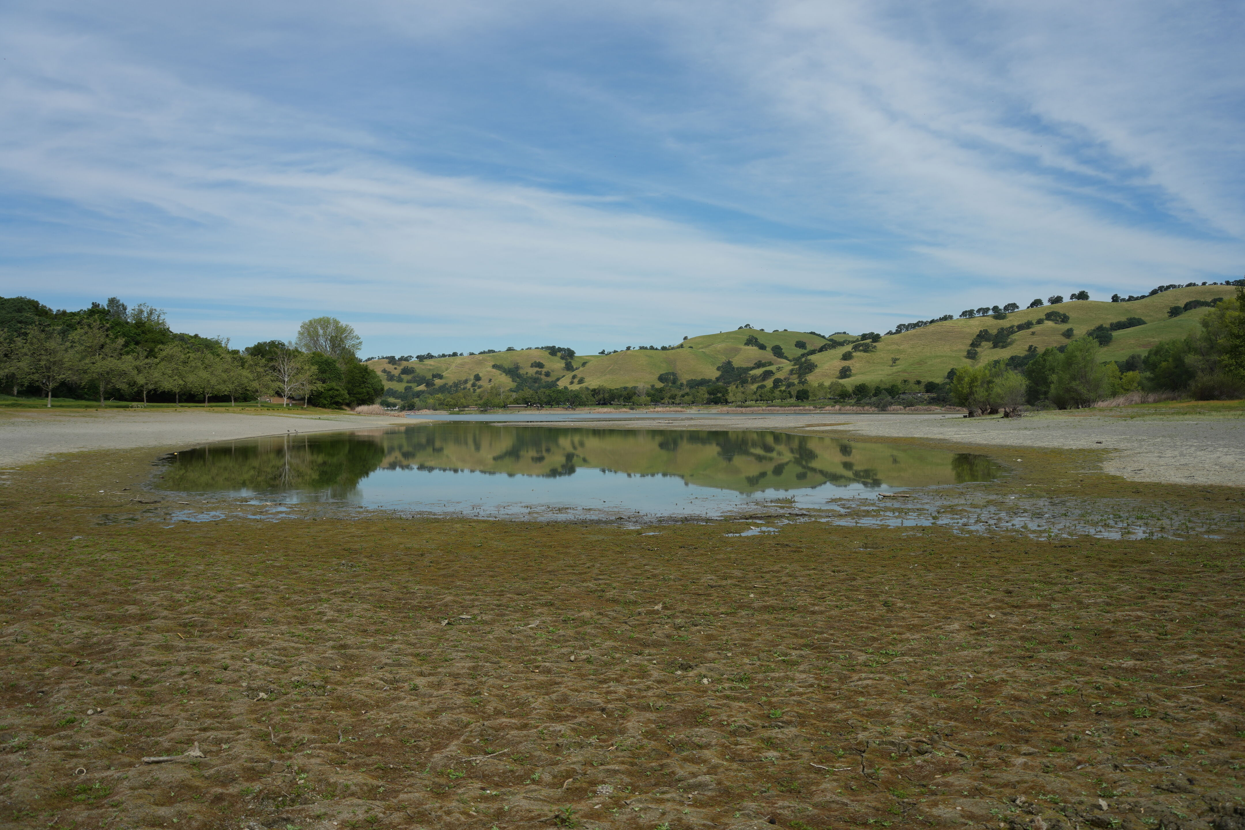 Del Valle Regional Park