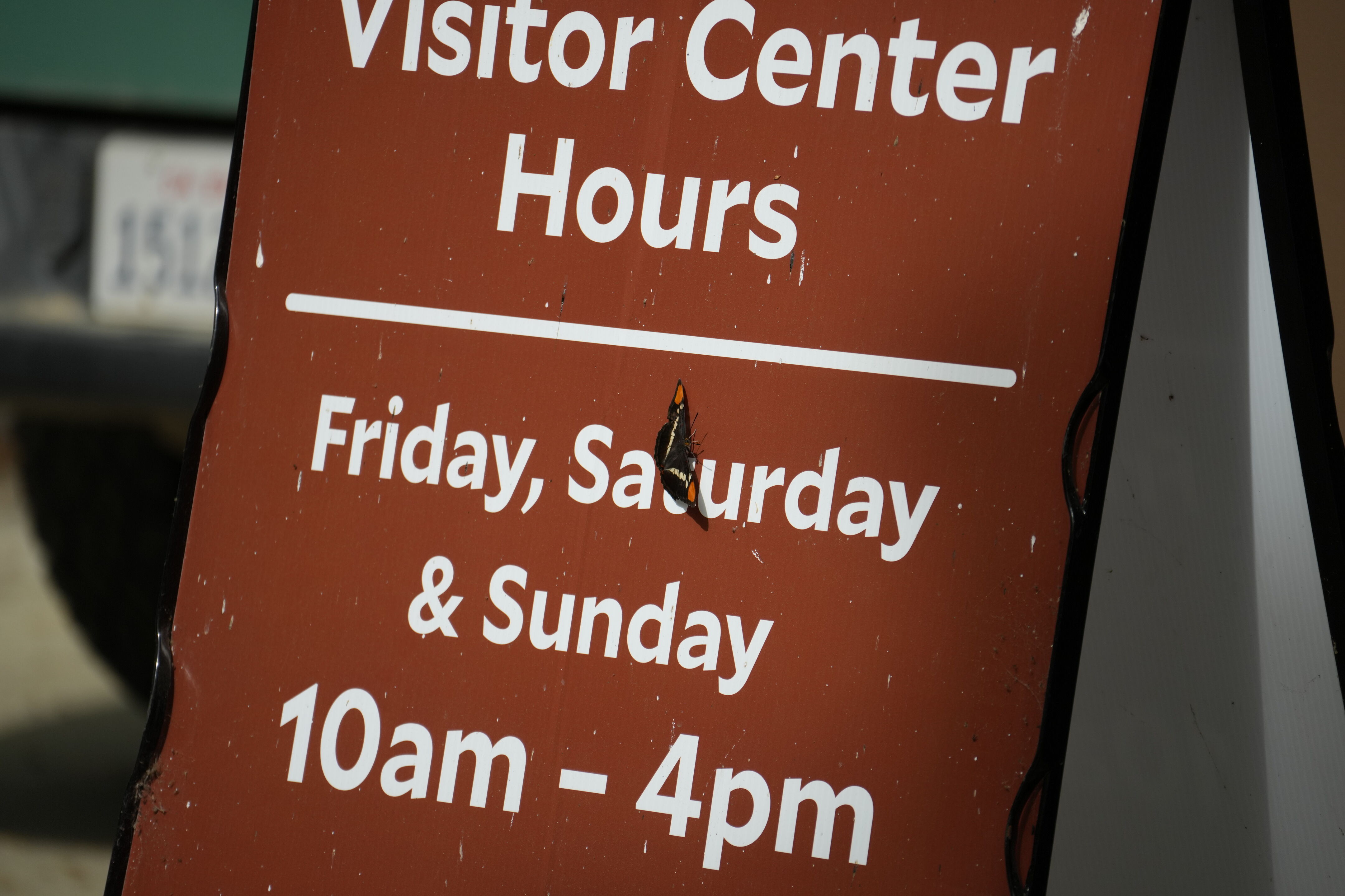 Del Valle Regional Park