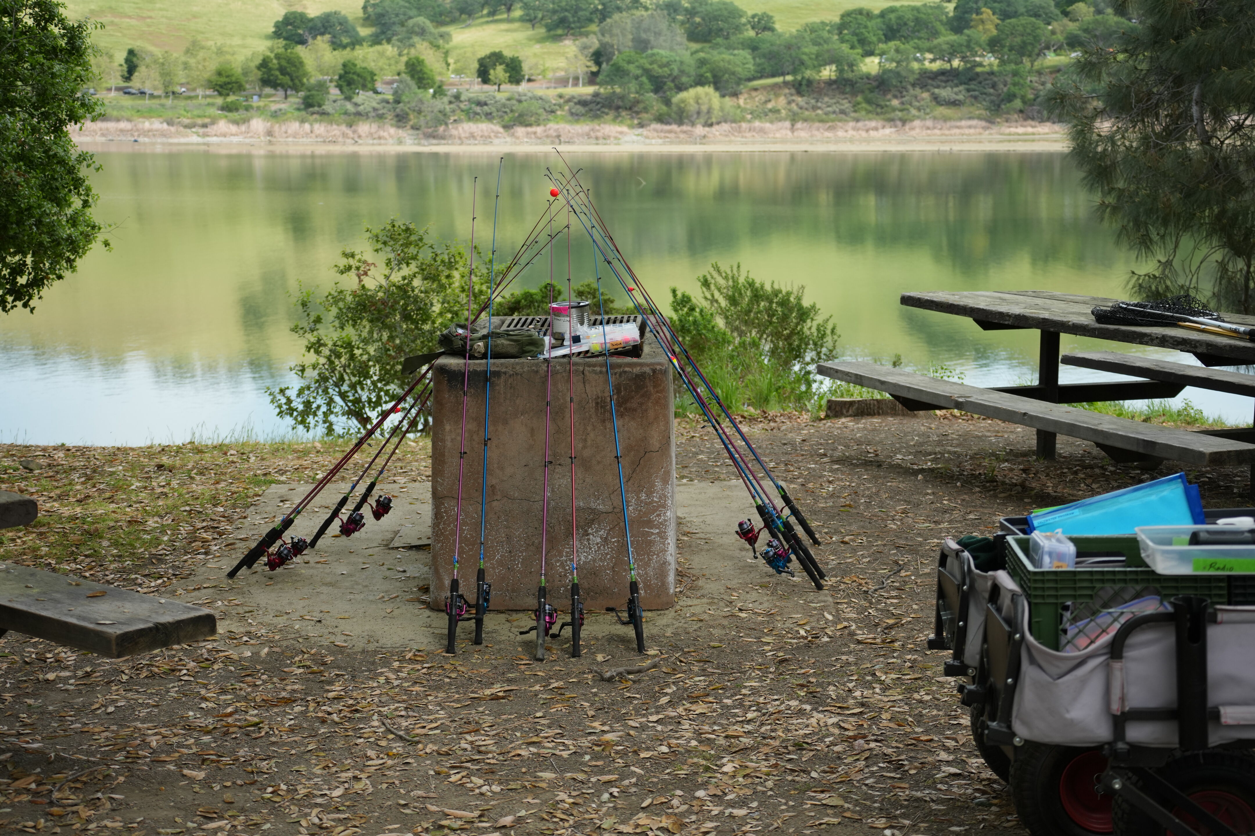 Del Valle Regional Park