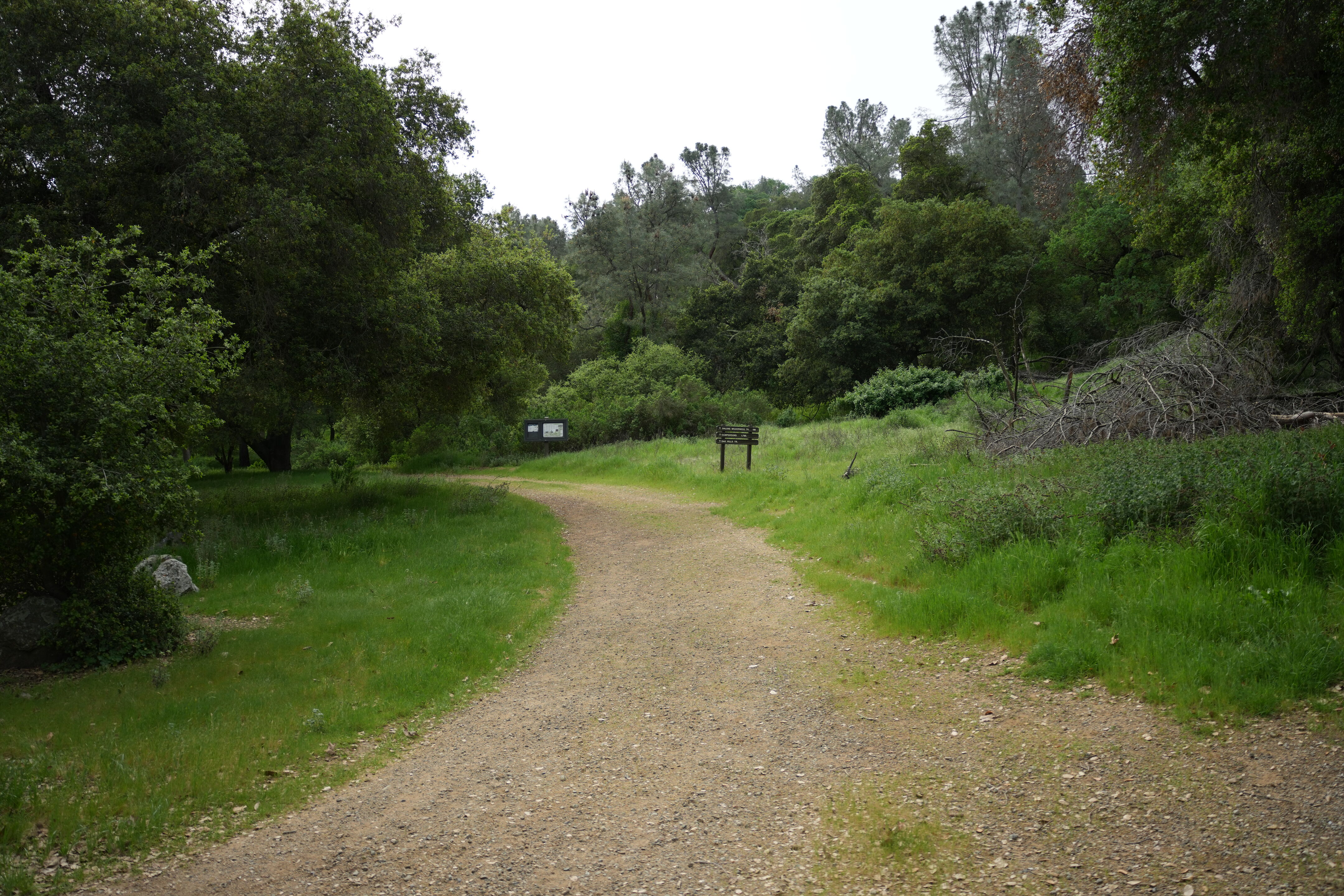 Del Valle Regional Park