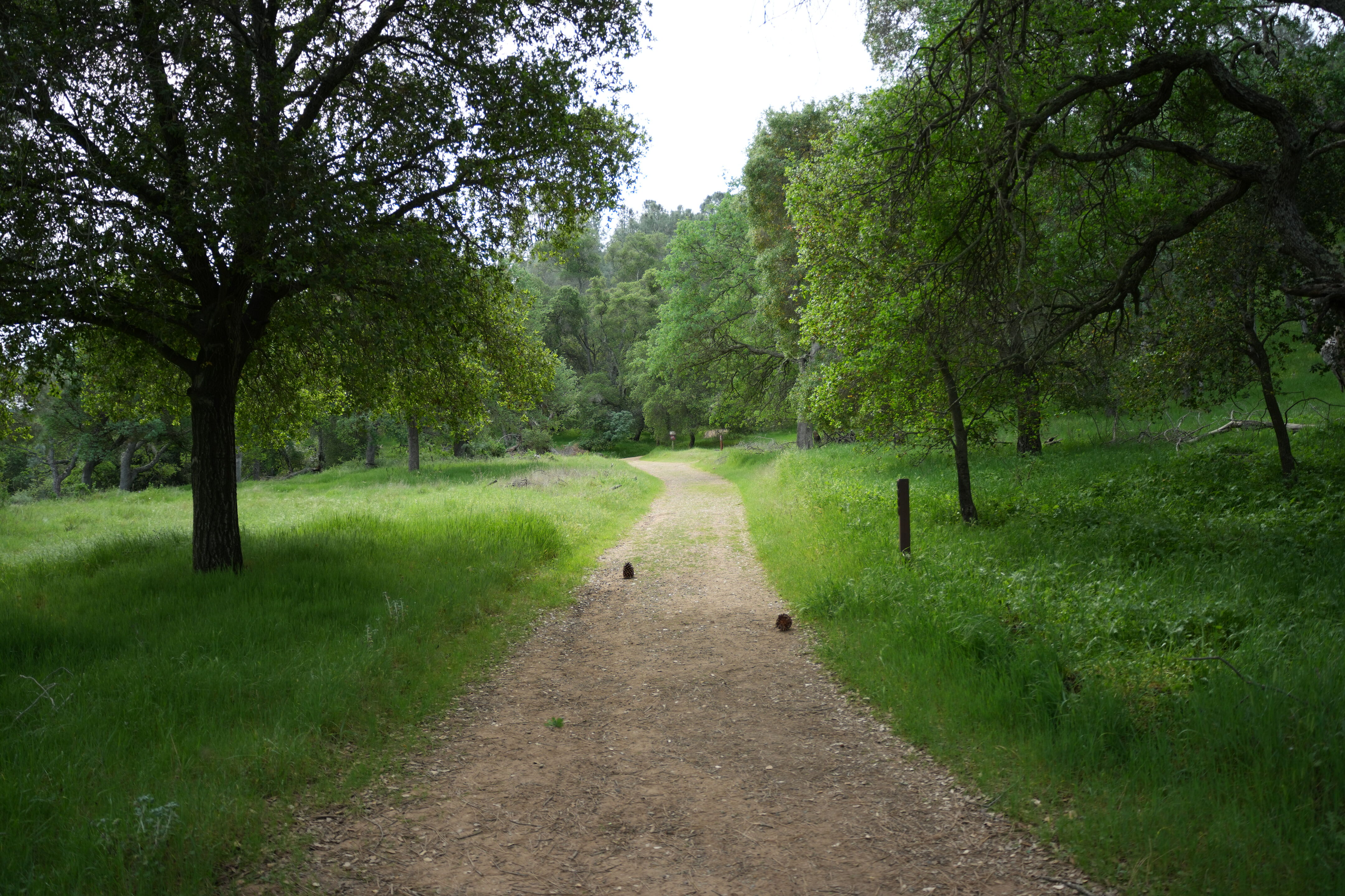 Del Valle Regional Park