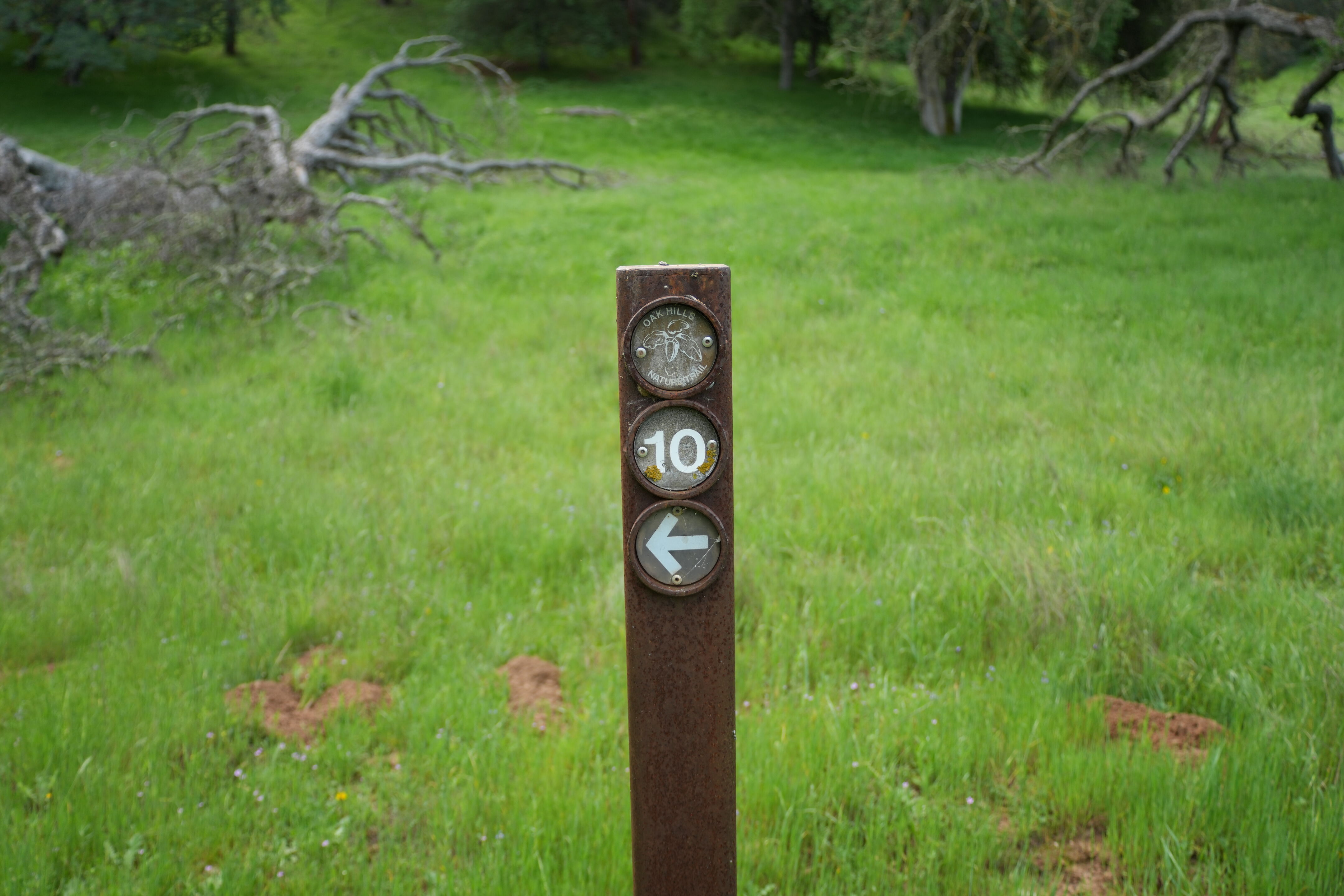 Del Valle Regional Park