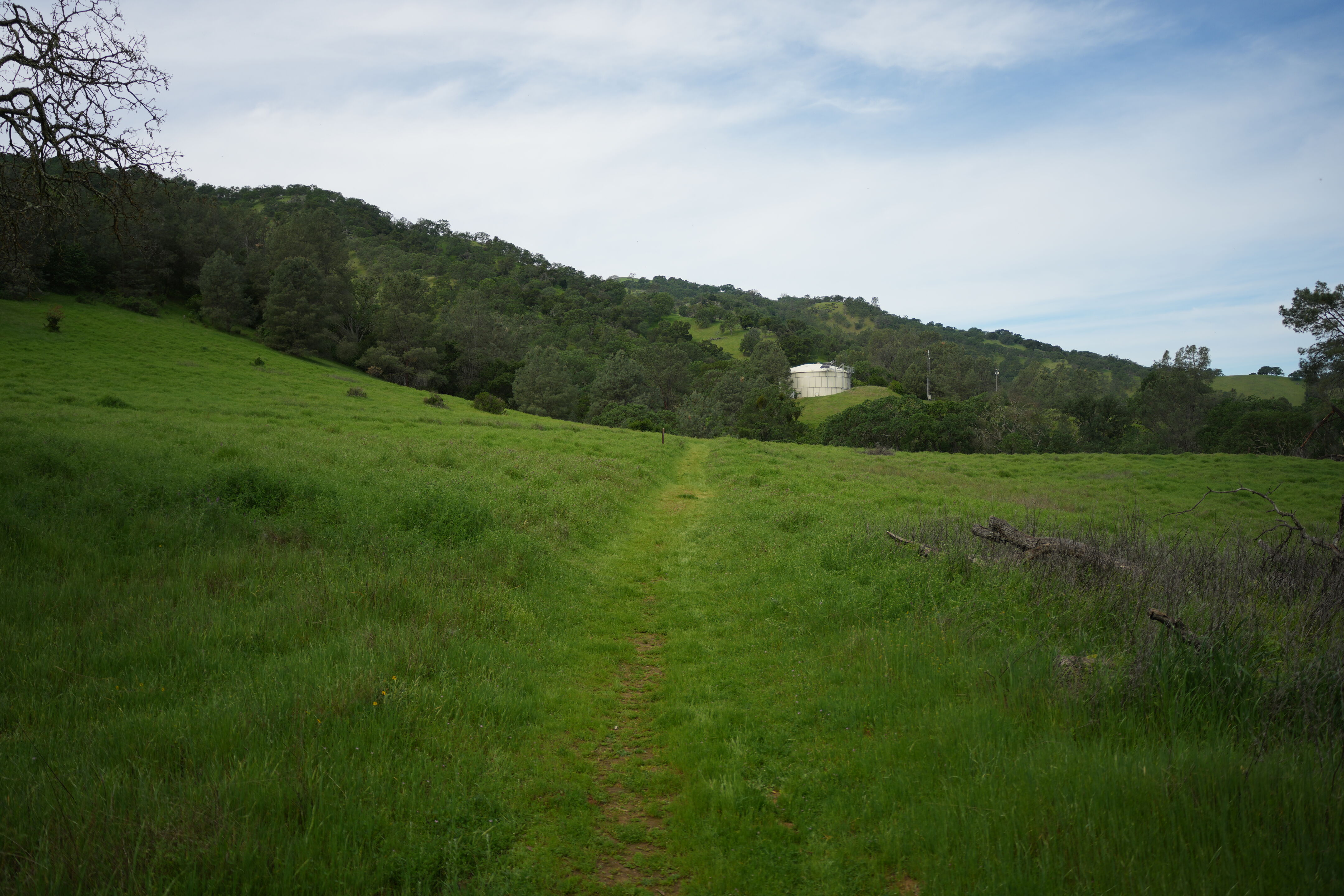 Del Valle Regional Park