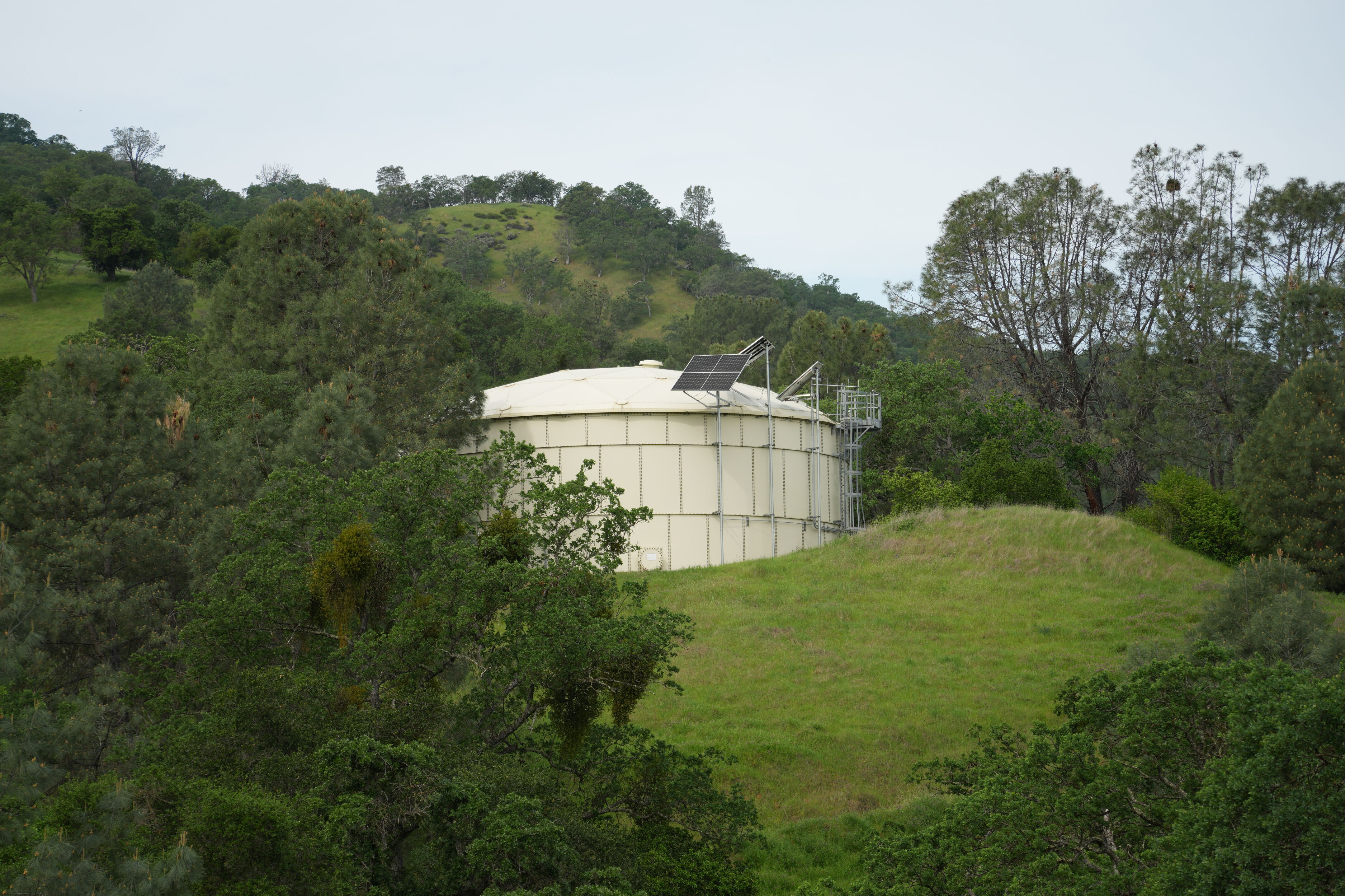Del Valle Regional Park