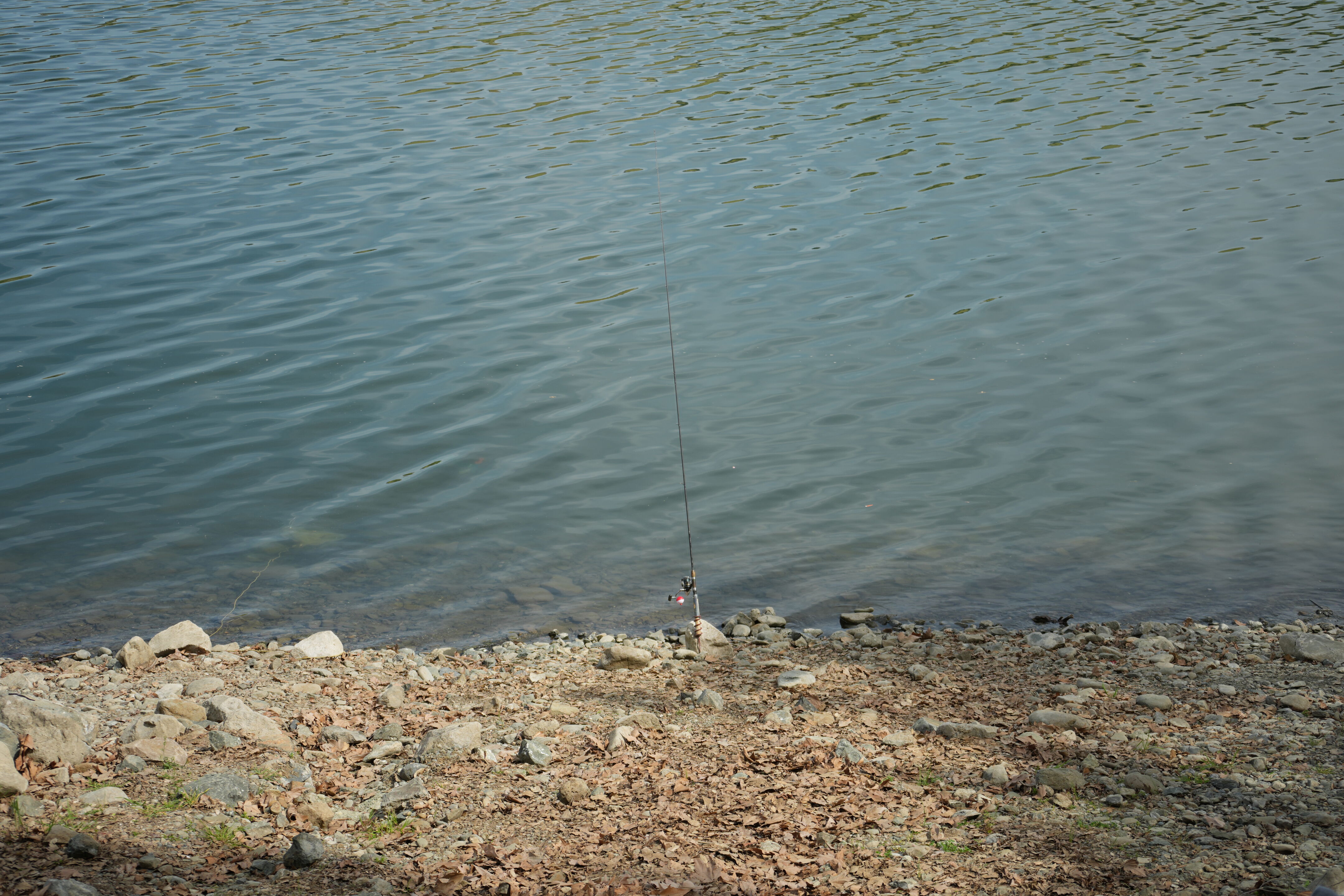 Del Valle Regional Park