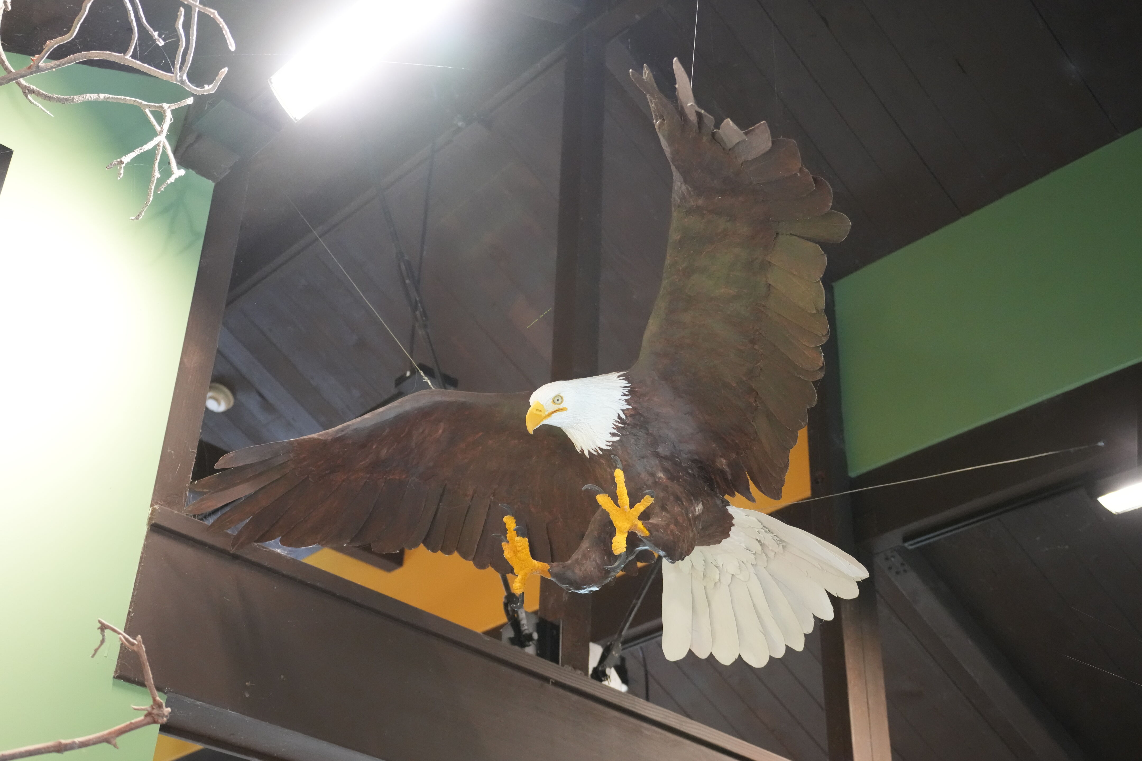 Del Valle Regional Park