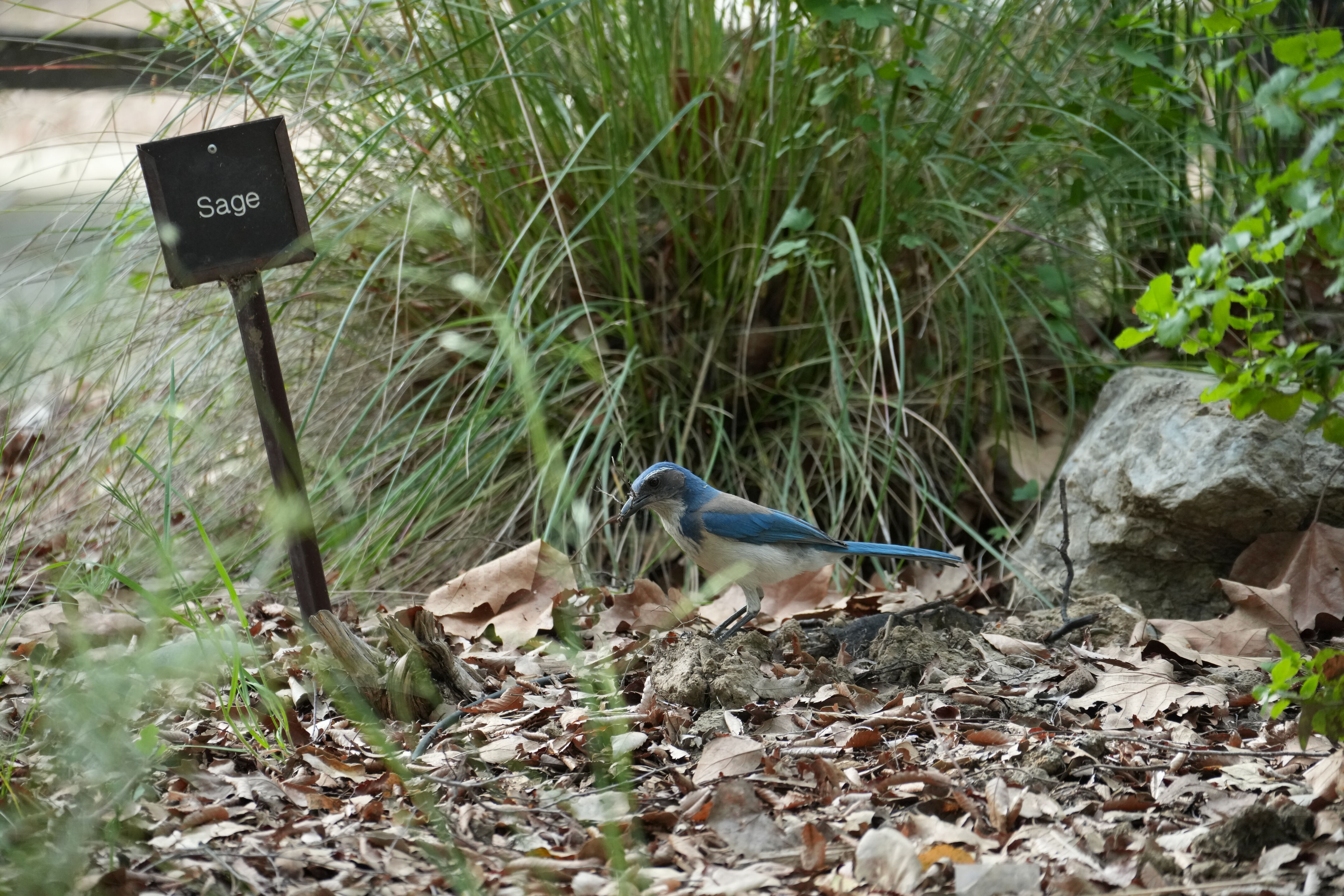 Del Valle Regional Park