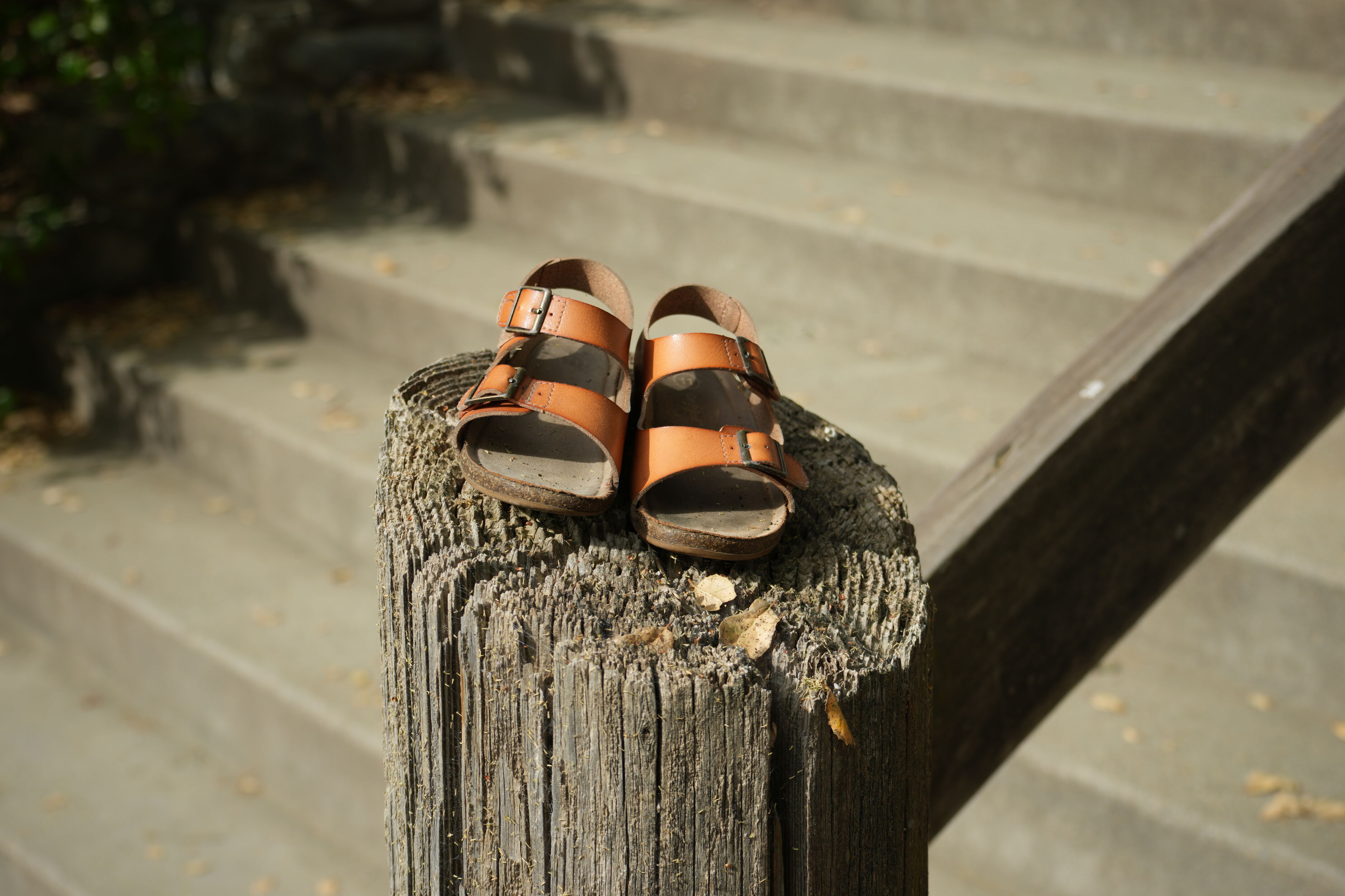 Del Valle Regional Park