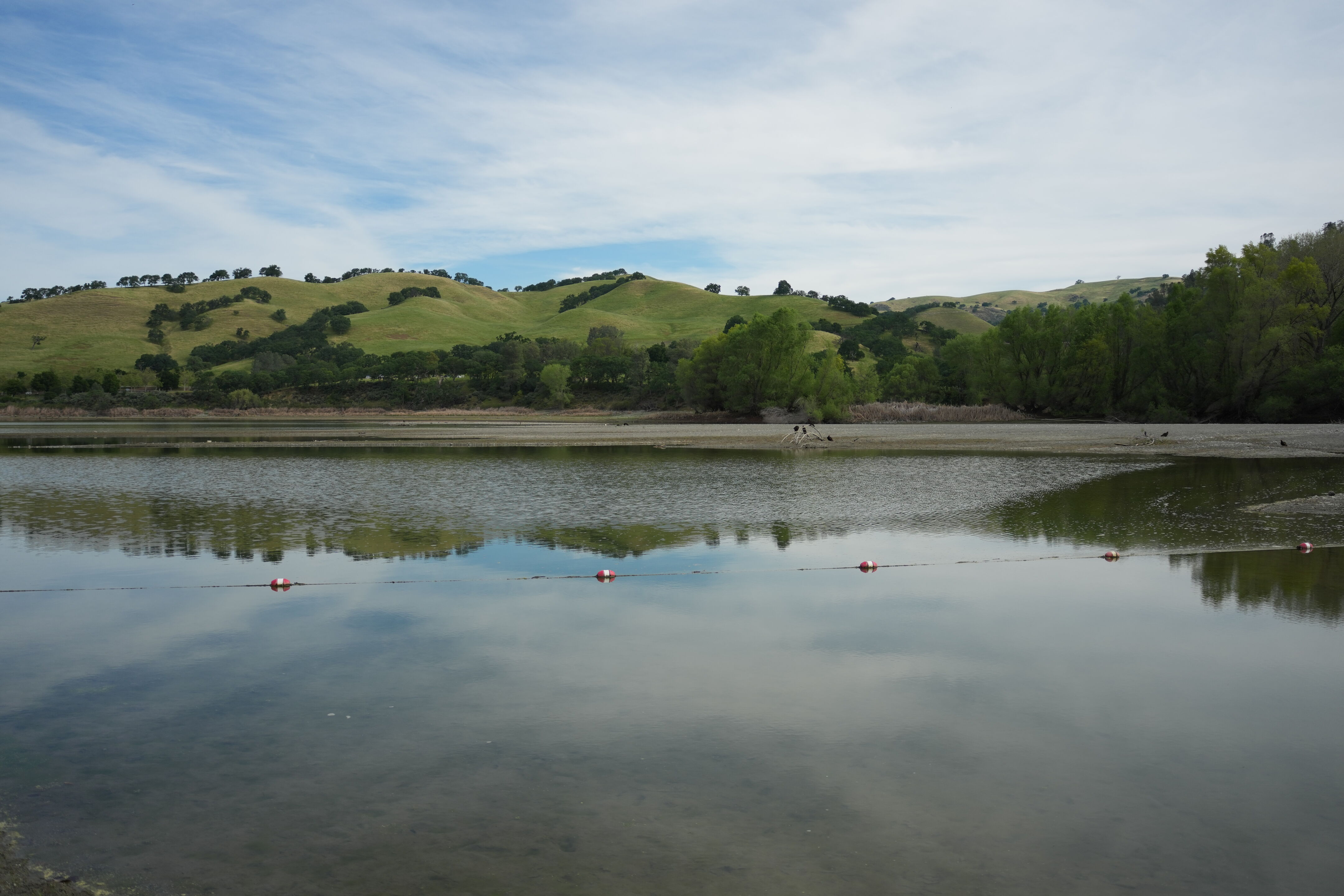 Del Valle Regional Park