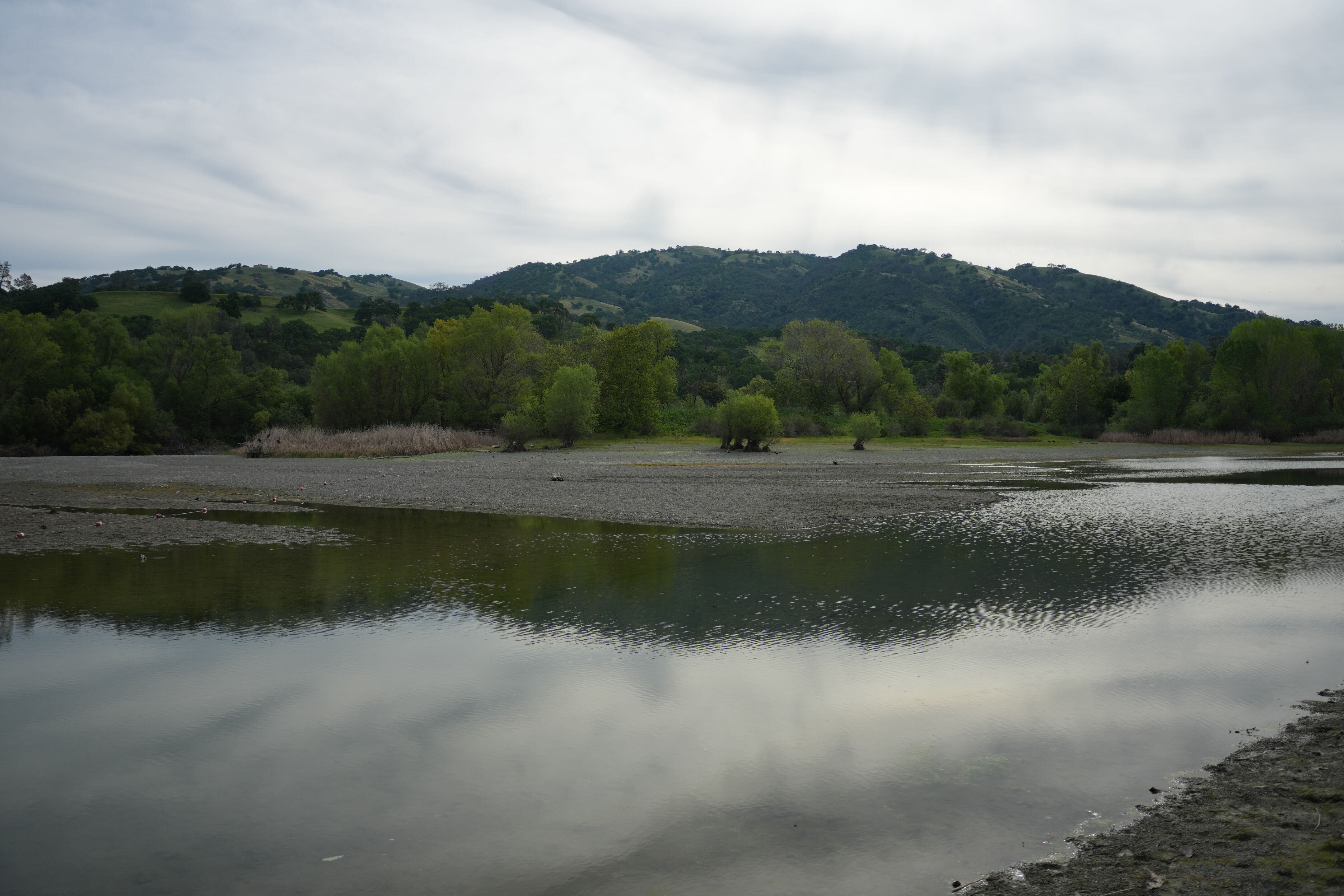 Del Valle Regional Park