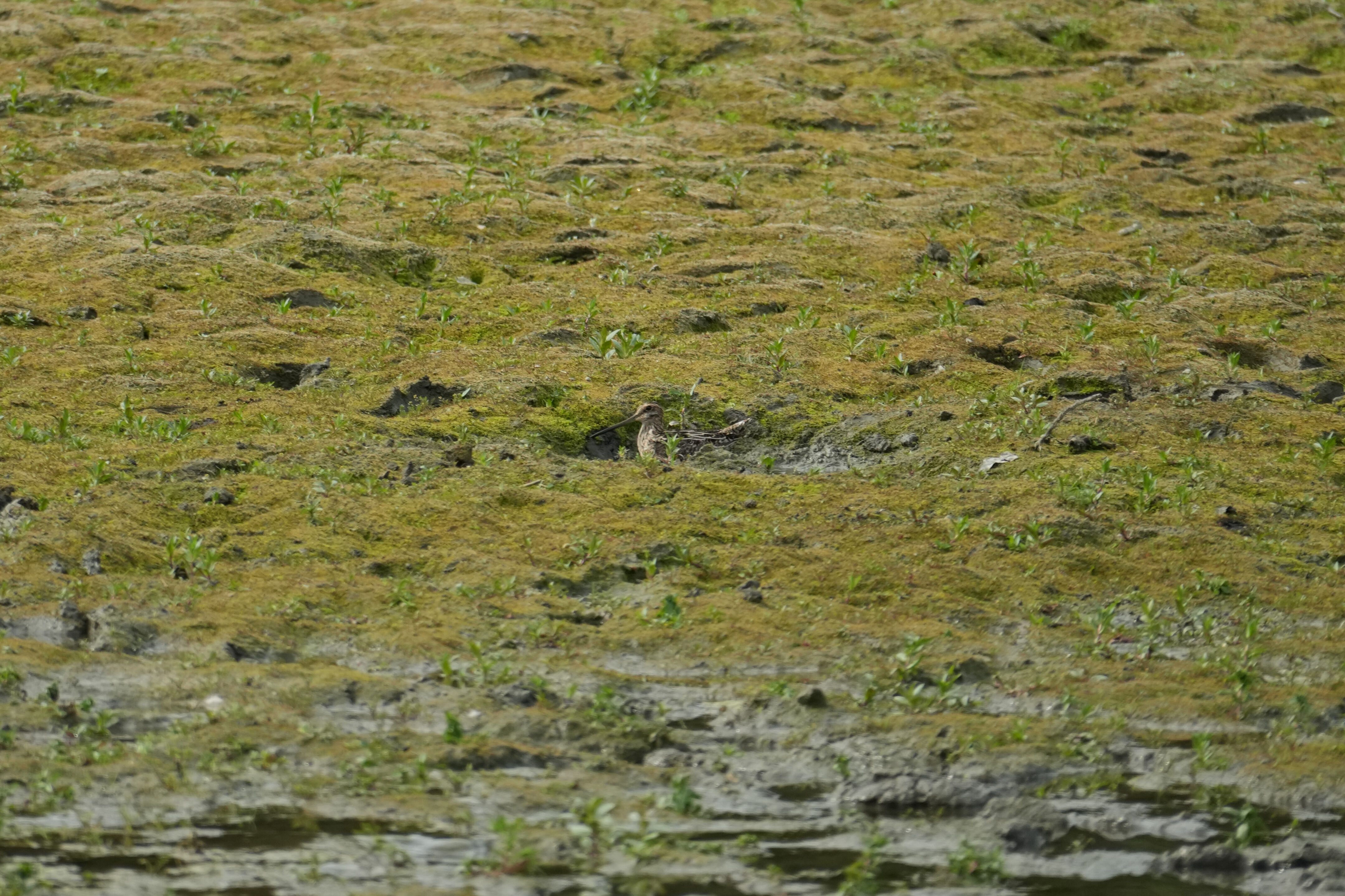 Del Valle Regional Park