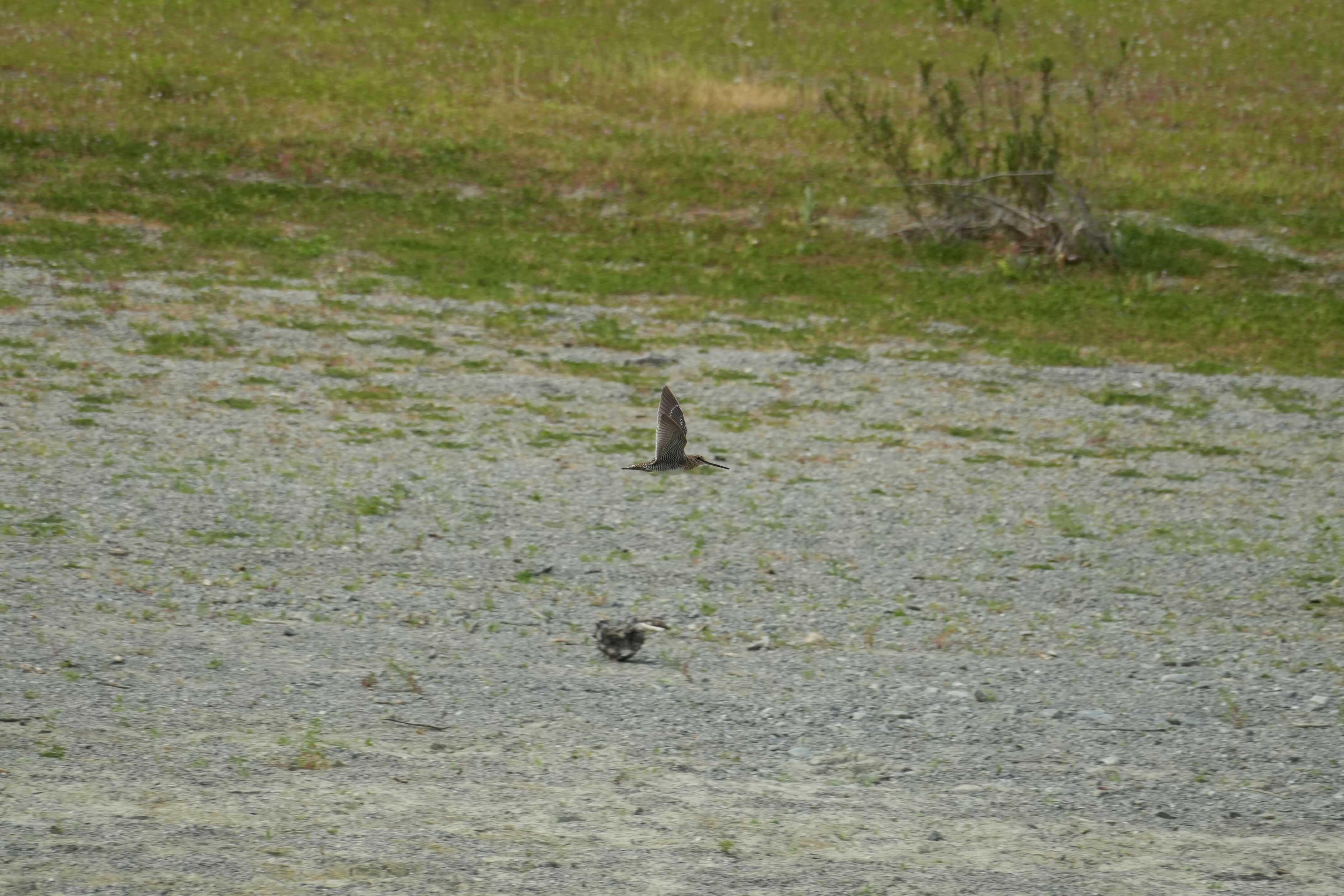 Del Valle Regional Park