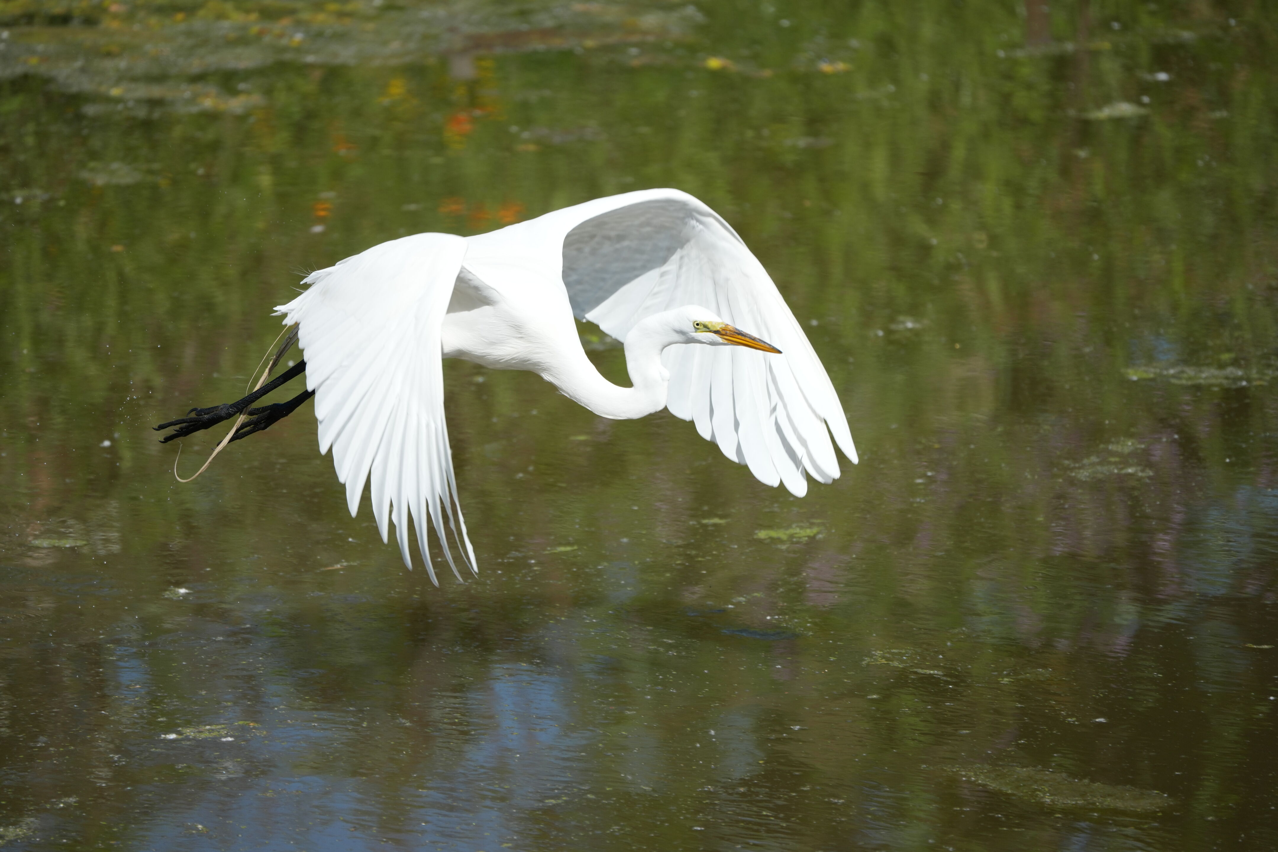 Contra Costa Canal Regional Trail