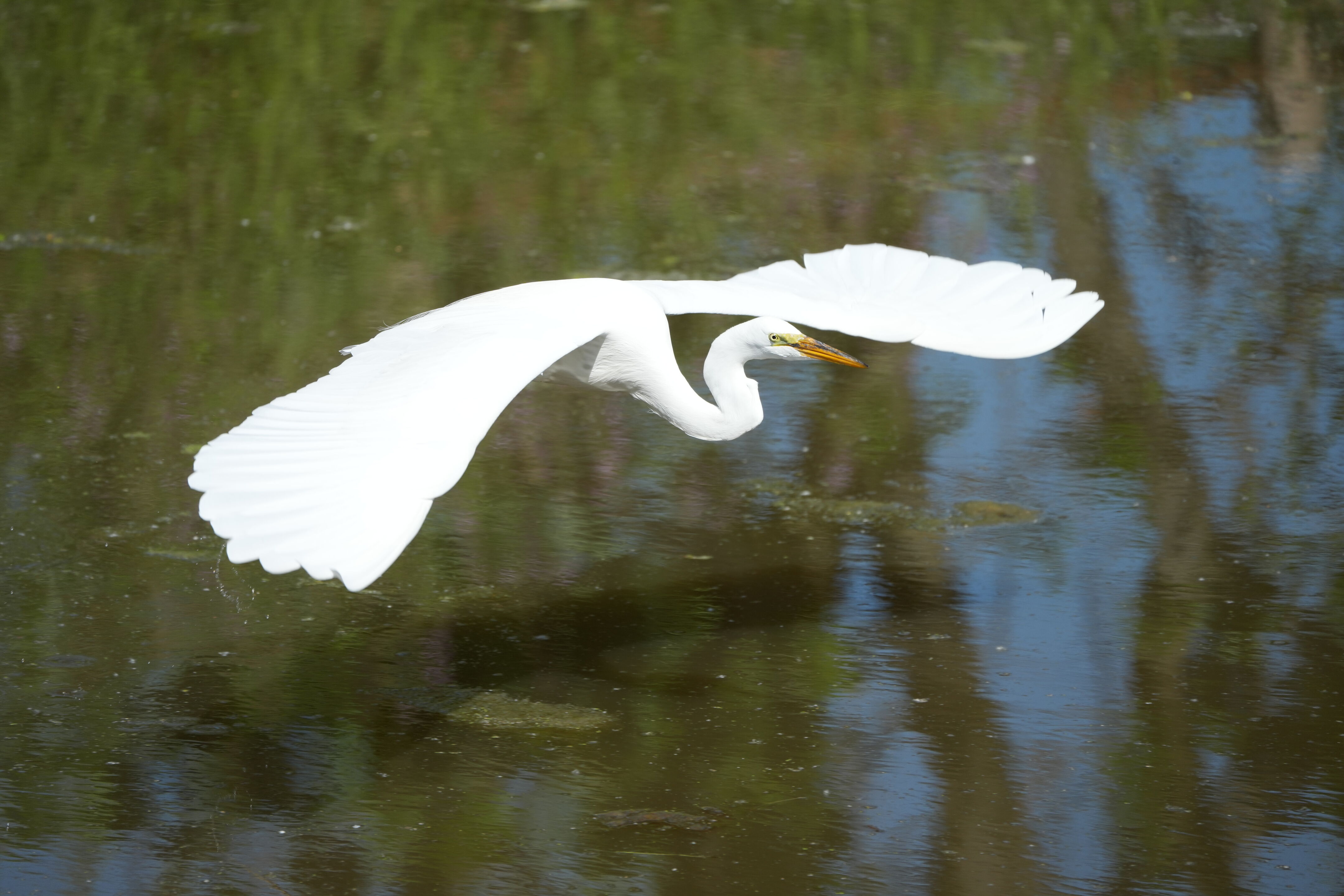 Contra Costa Canal Regional Trail