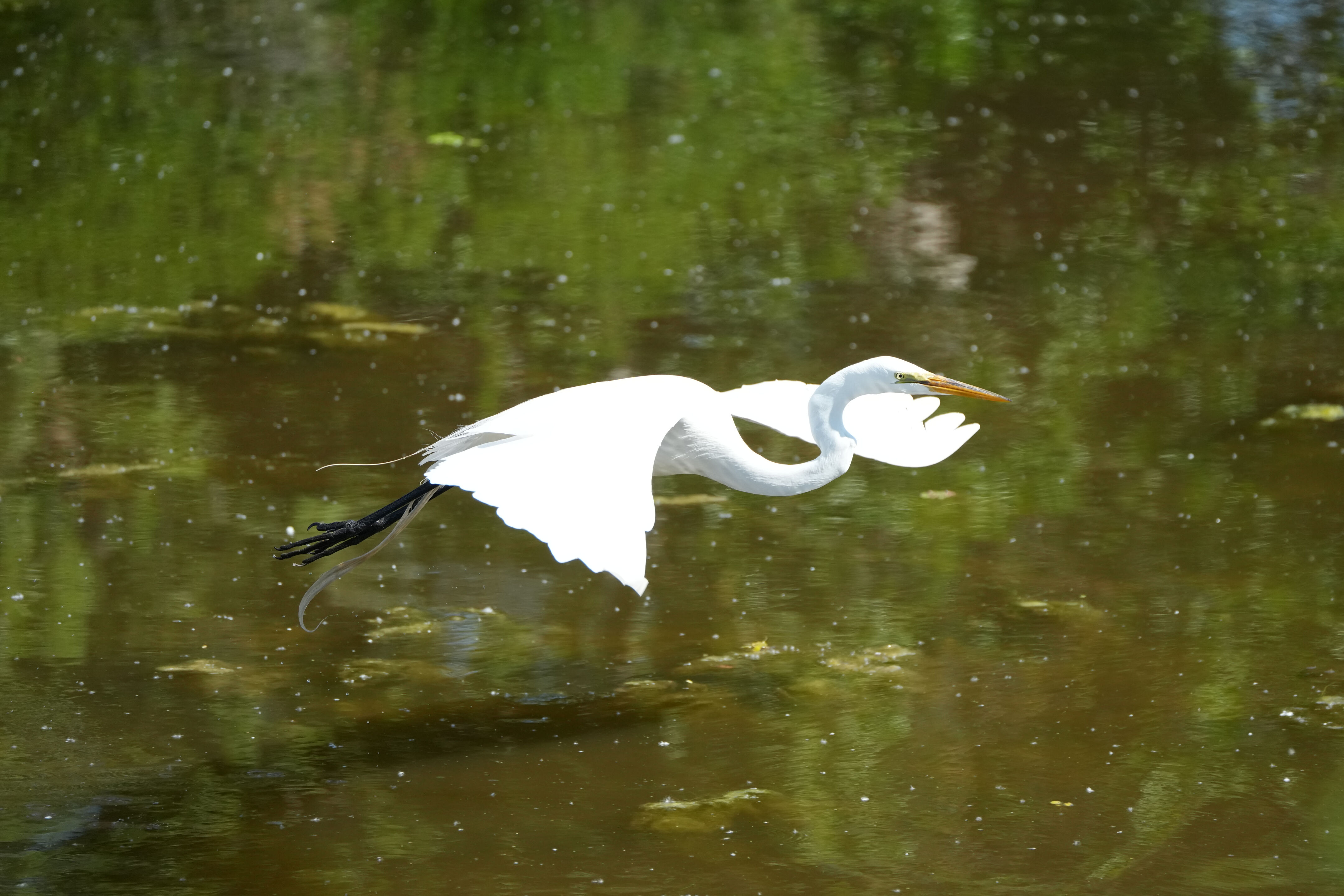 Contra Costa Canal Regional Trail
