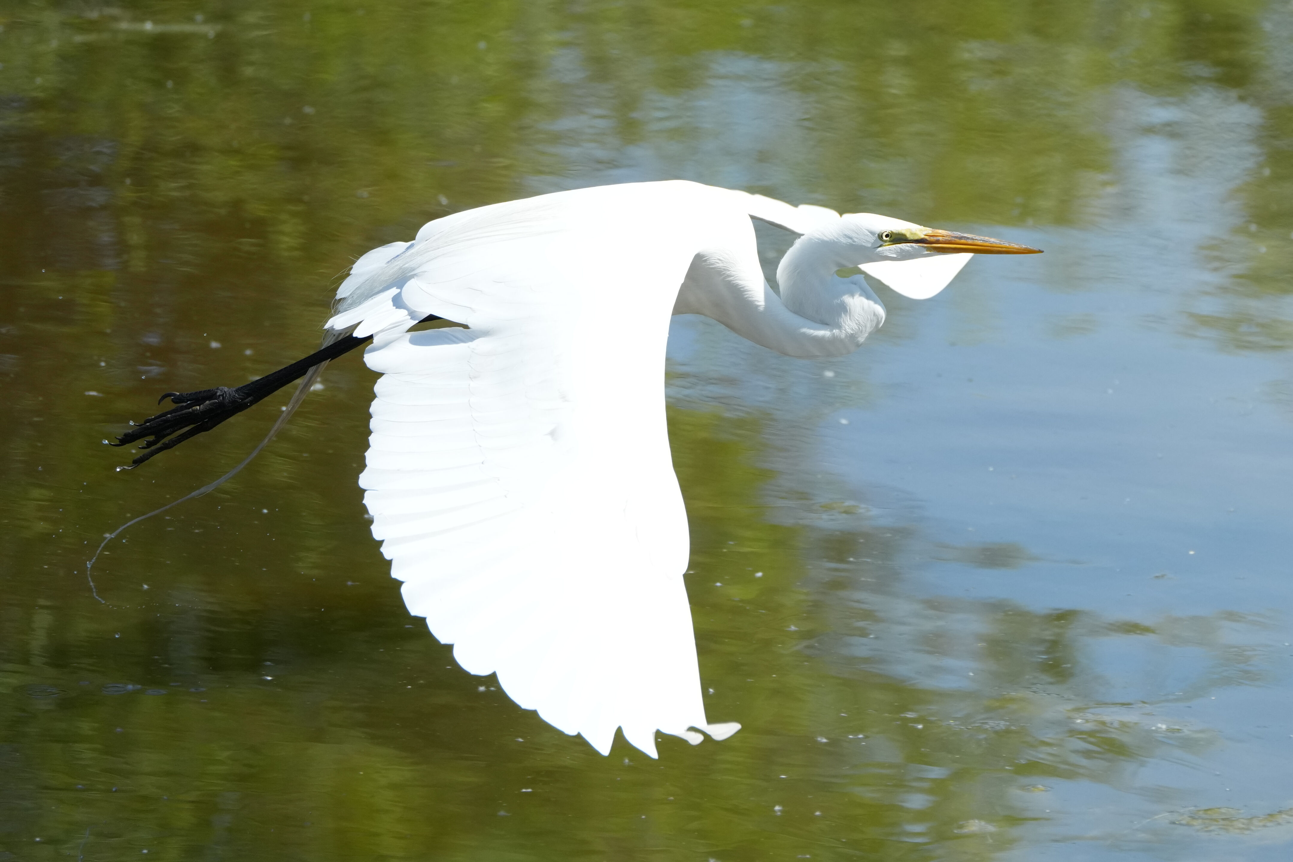 Contra Costa Canal Regional Trail