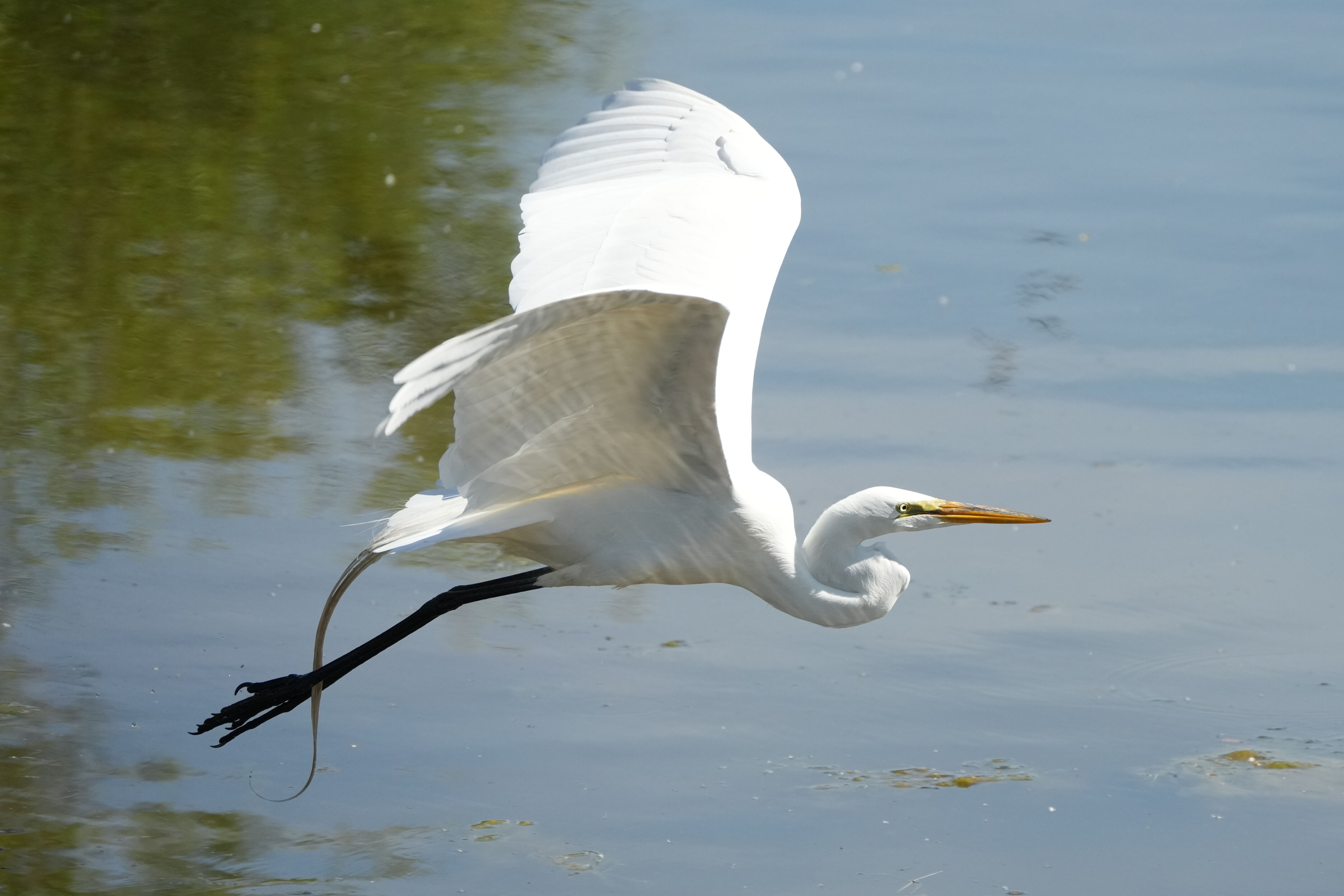 Contra Costa Canal Regional Trail