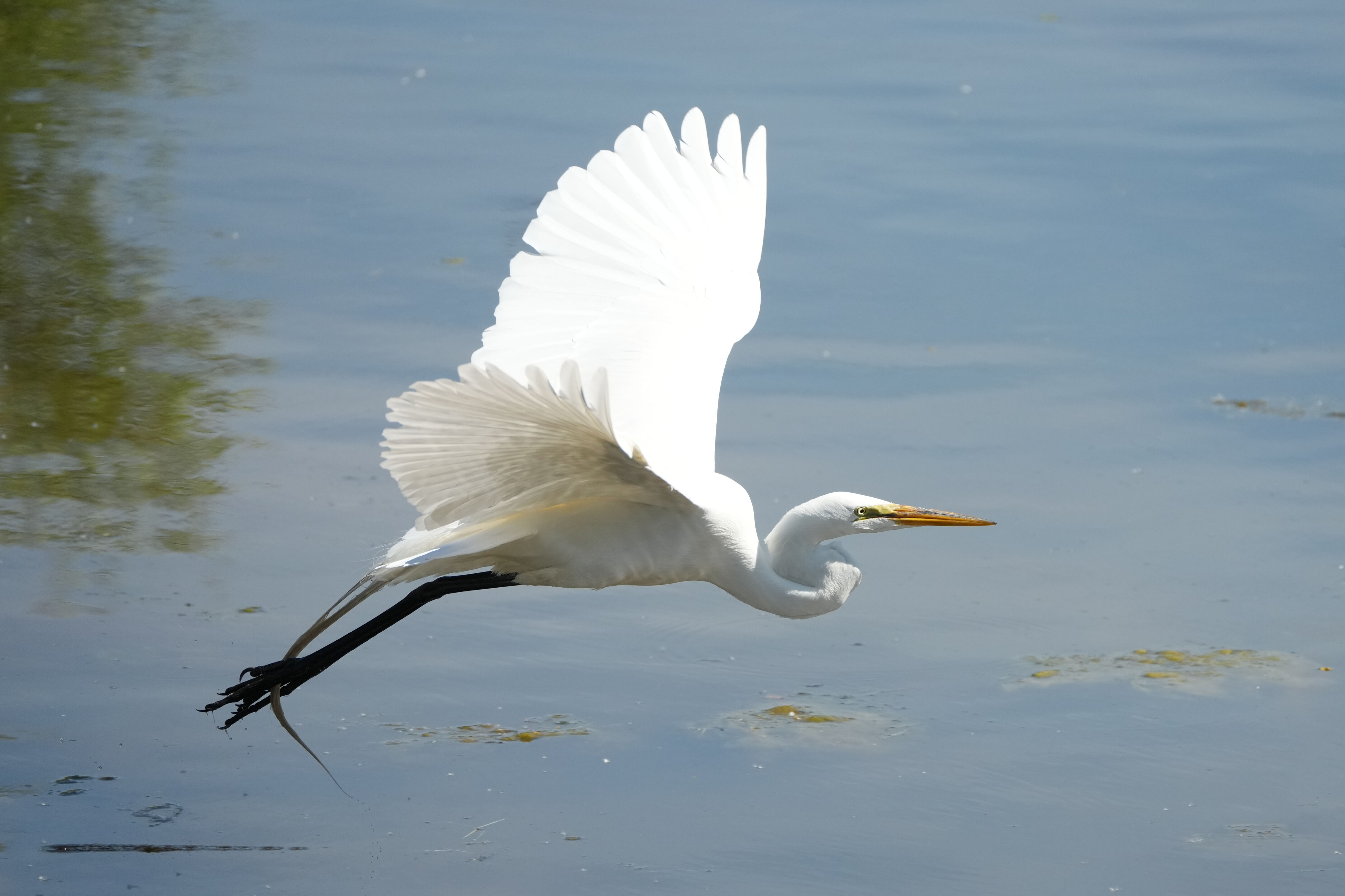 Contra Costa Canal Regional Trail