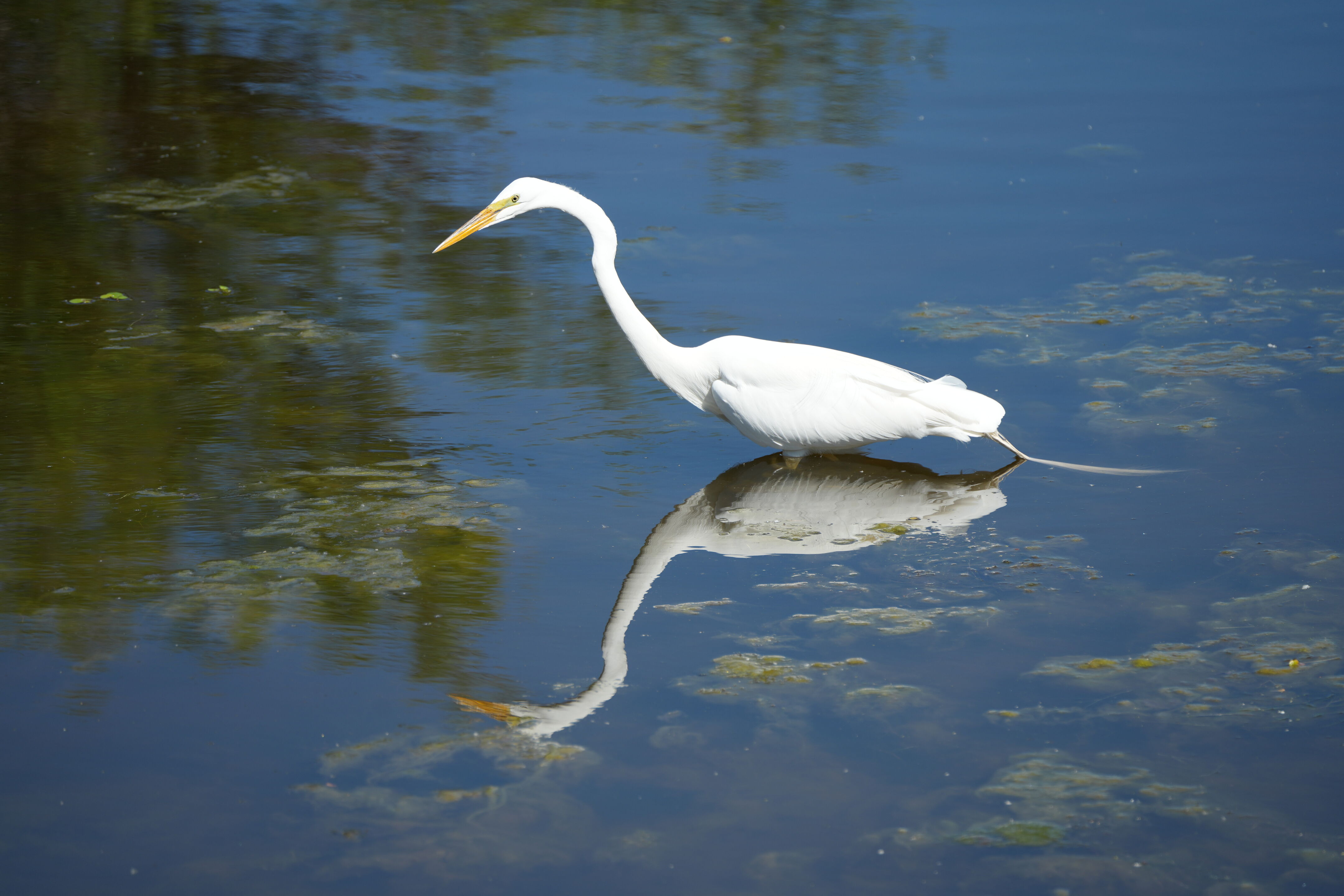 Contra Costa Canal Regional Trail