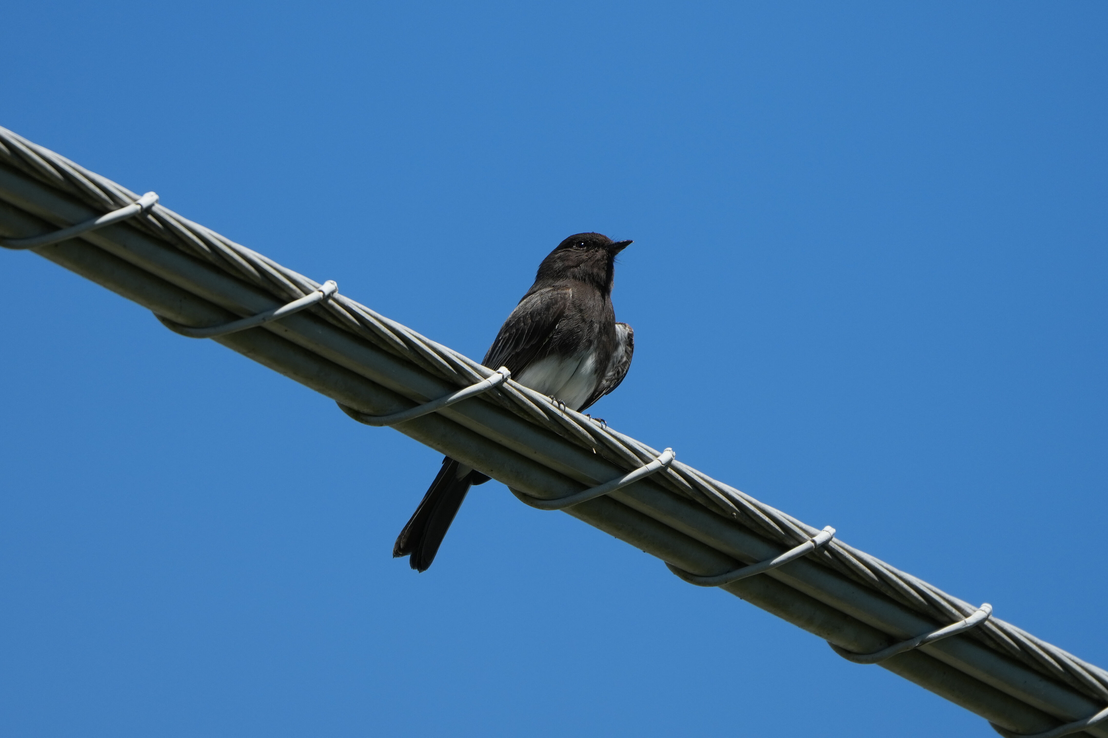 Contra Costa Canal Regional Trail