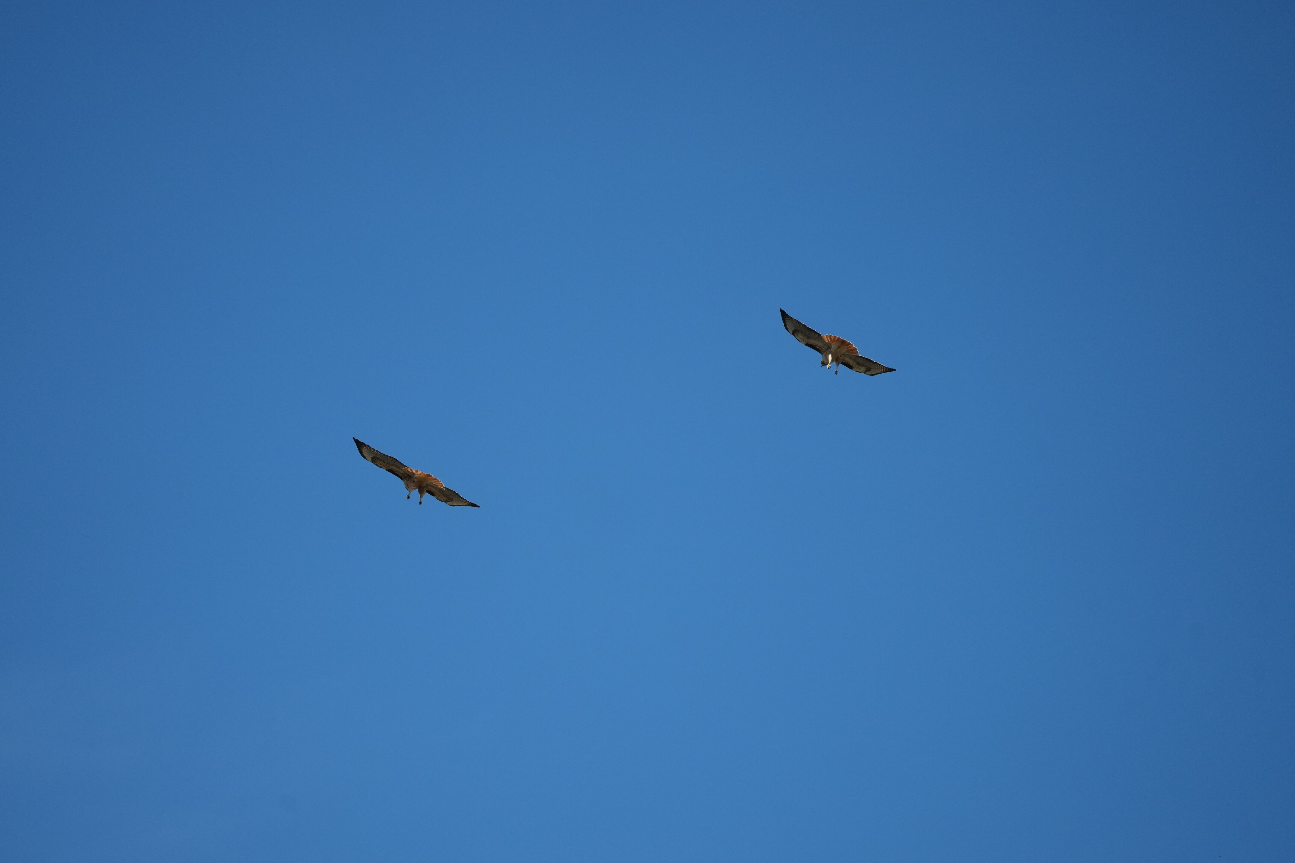 Contra Costa Canal Regional Trail