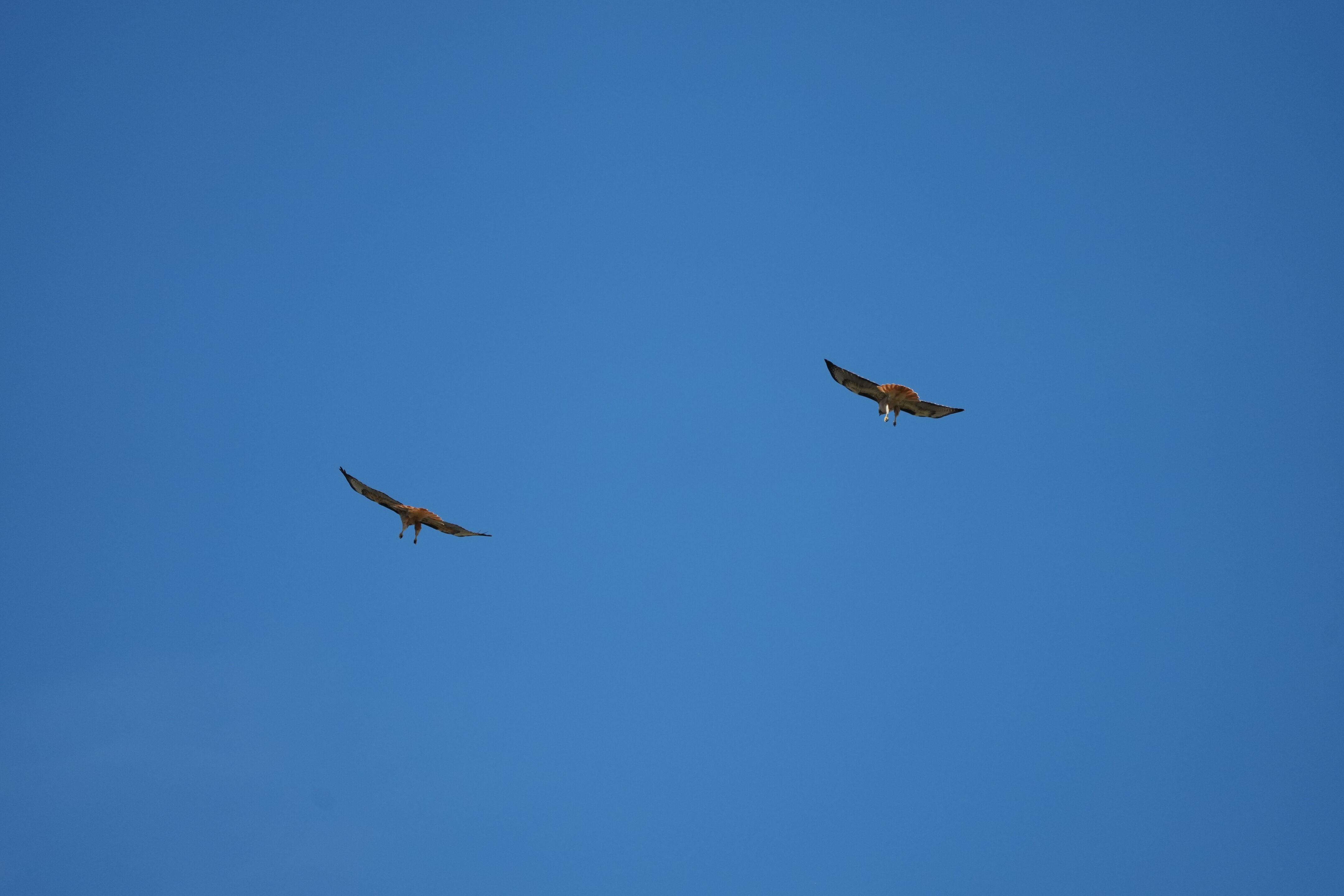 Contra Costa Canal Regional Trail