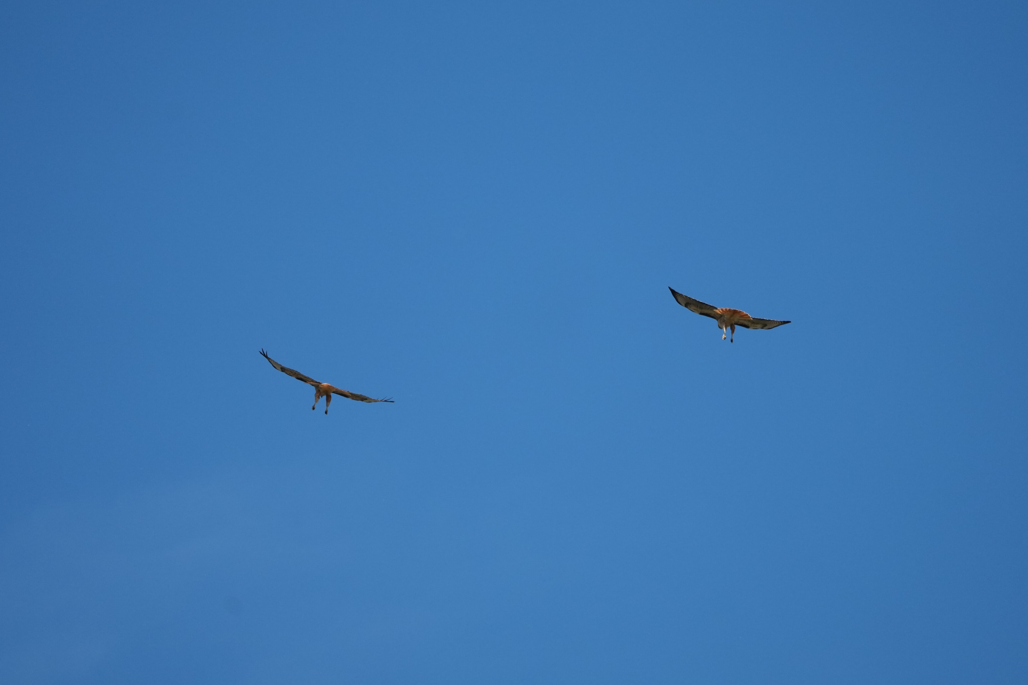 Contra Costa Canal Regional Trail