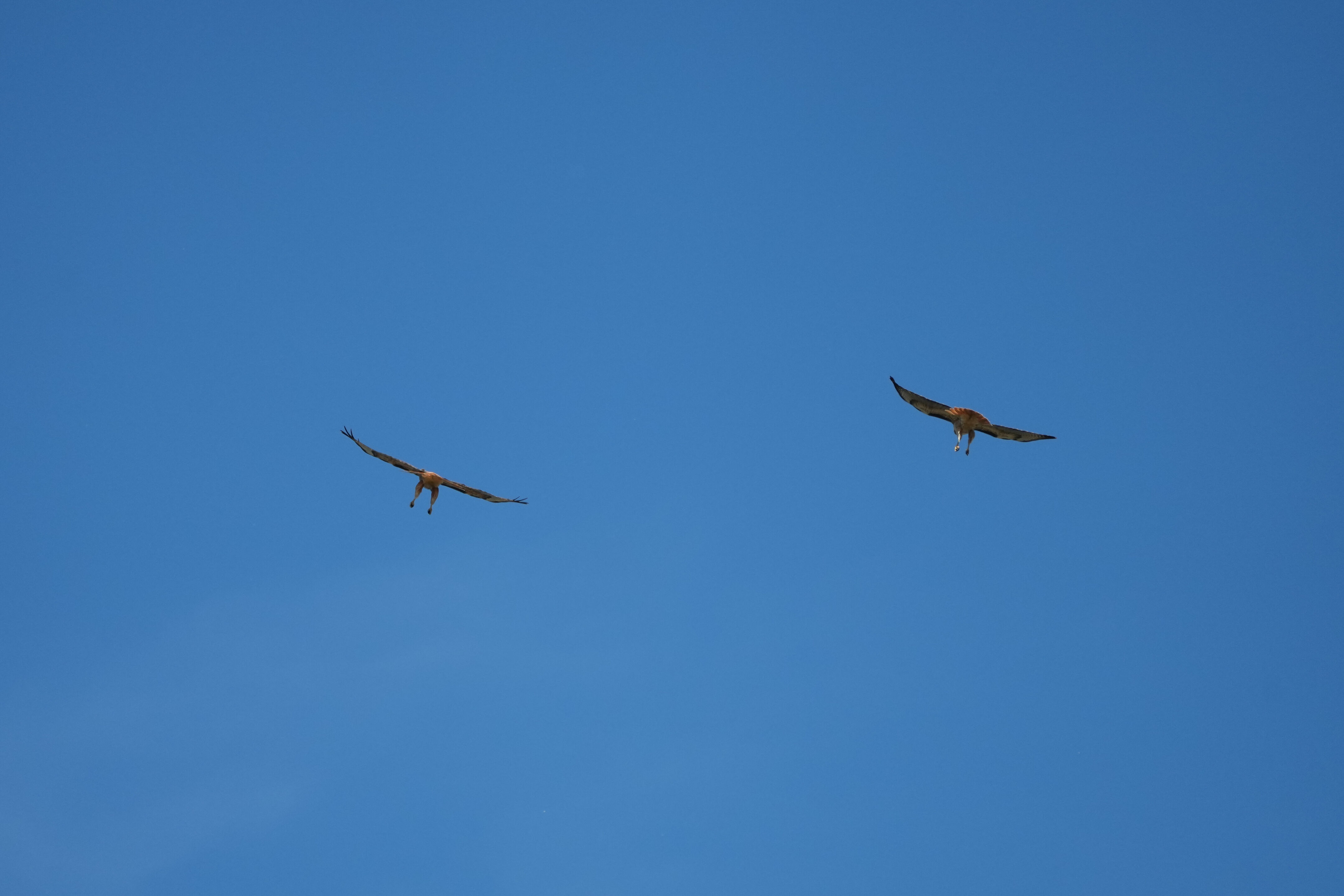 Contra Costa Canal Regional Trail