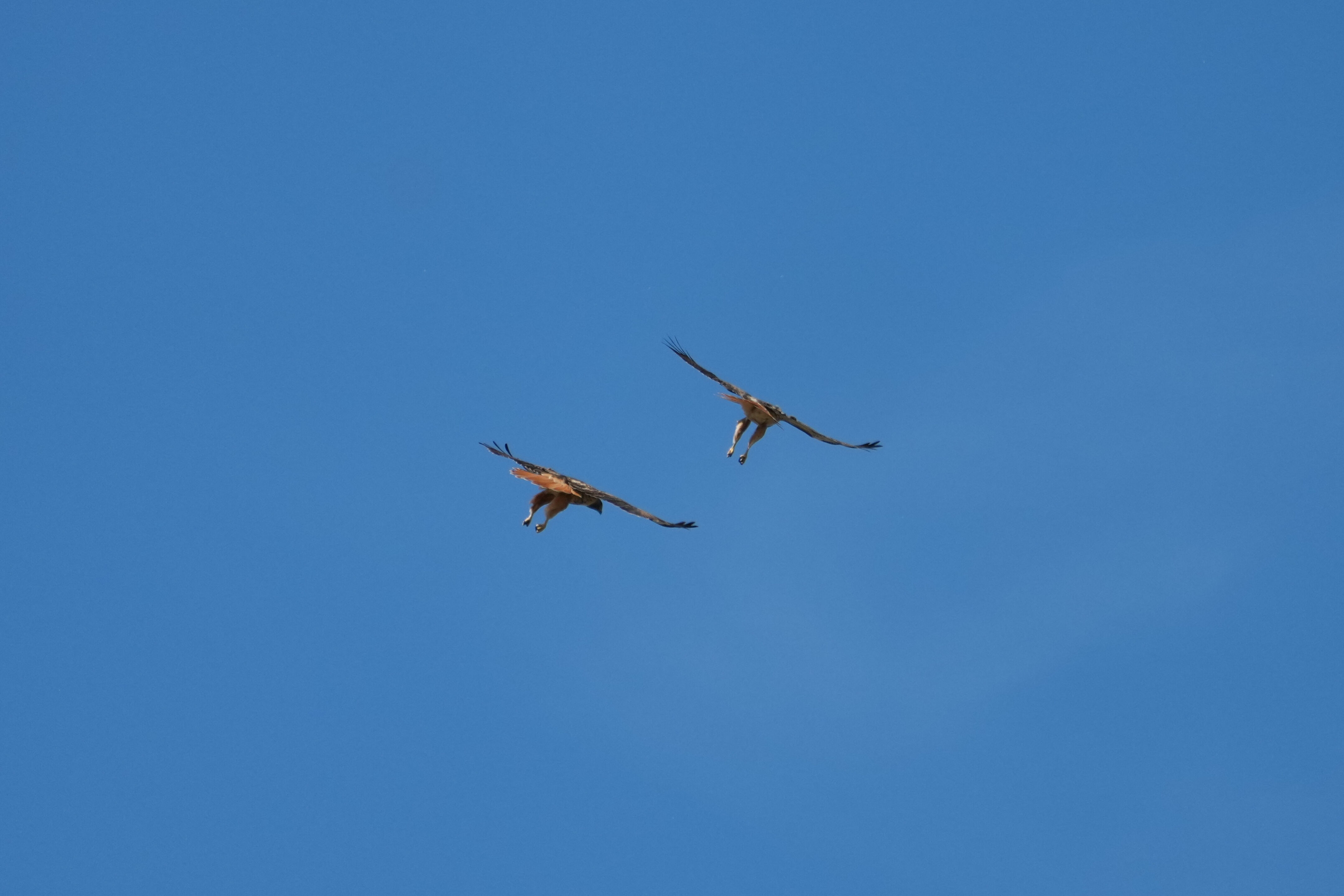 Contra Costa Canal Regional Trail