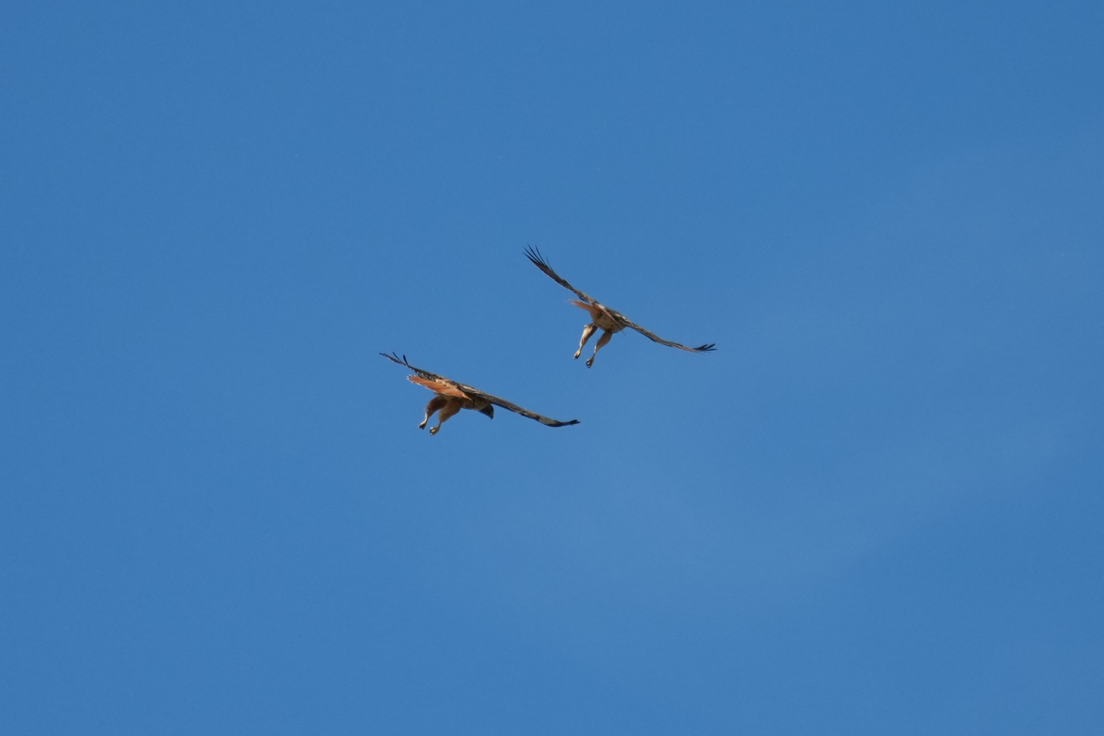 Contra Costa Canal Regional Trail
