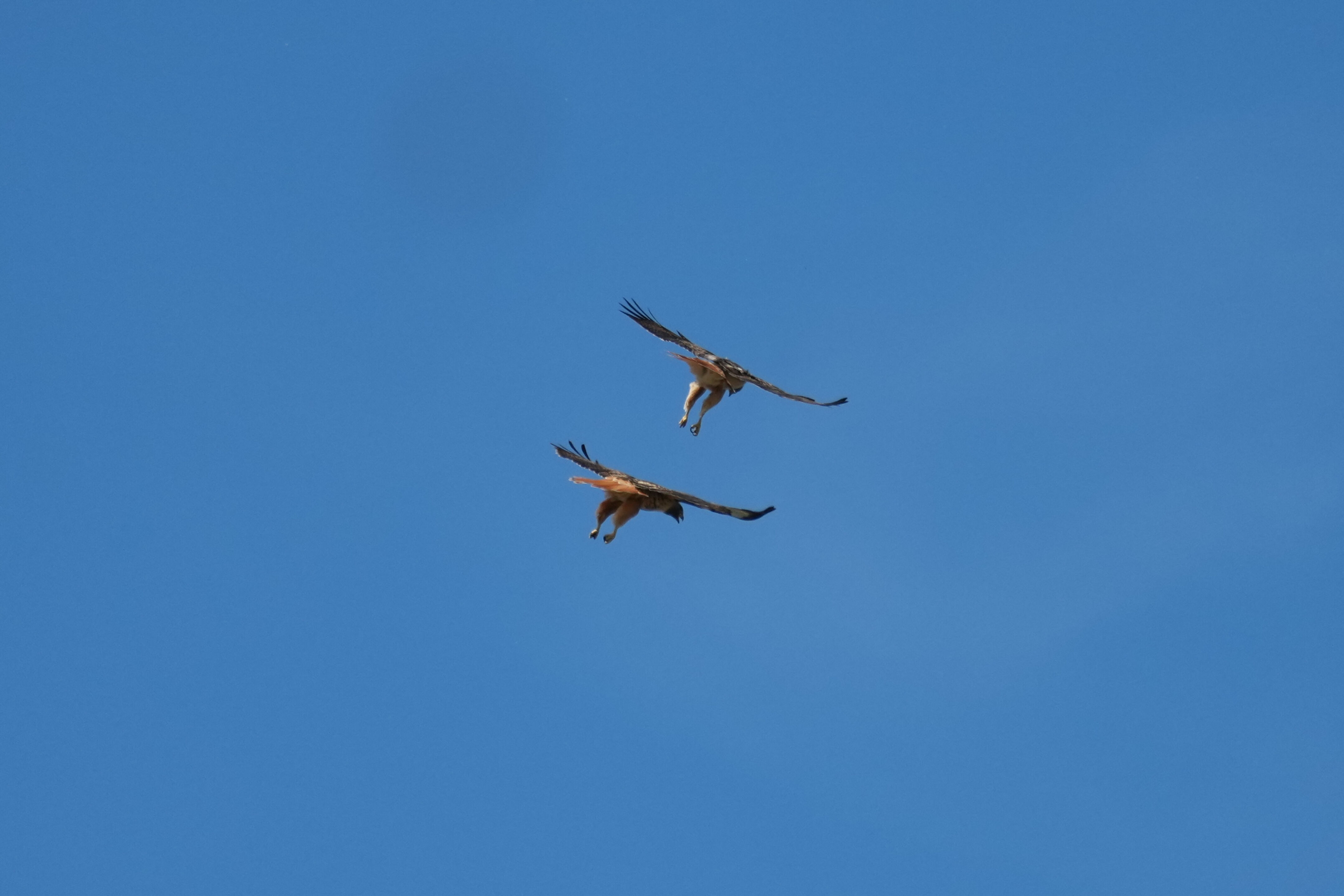 Contra Costa Canal Regional Trail