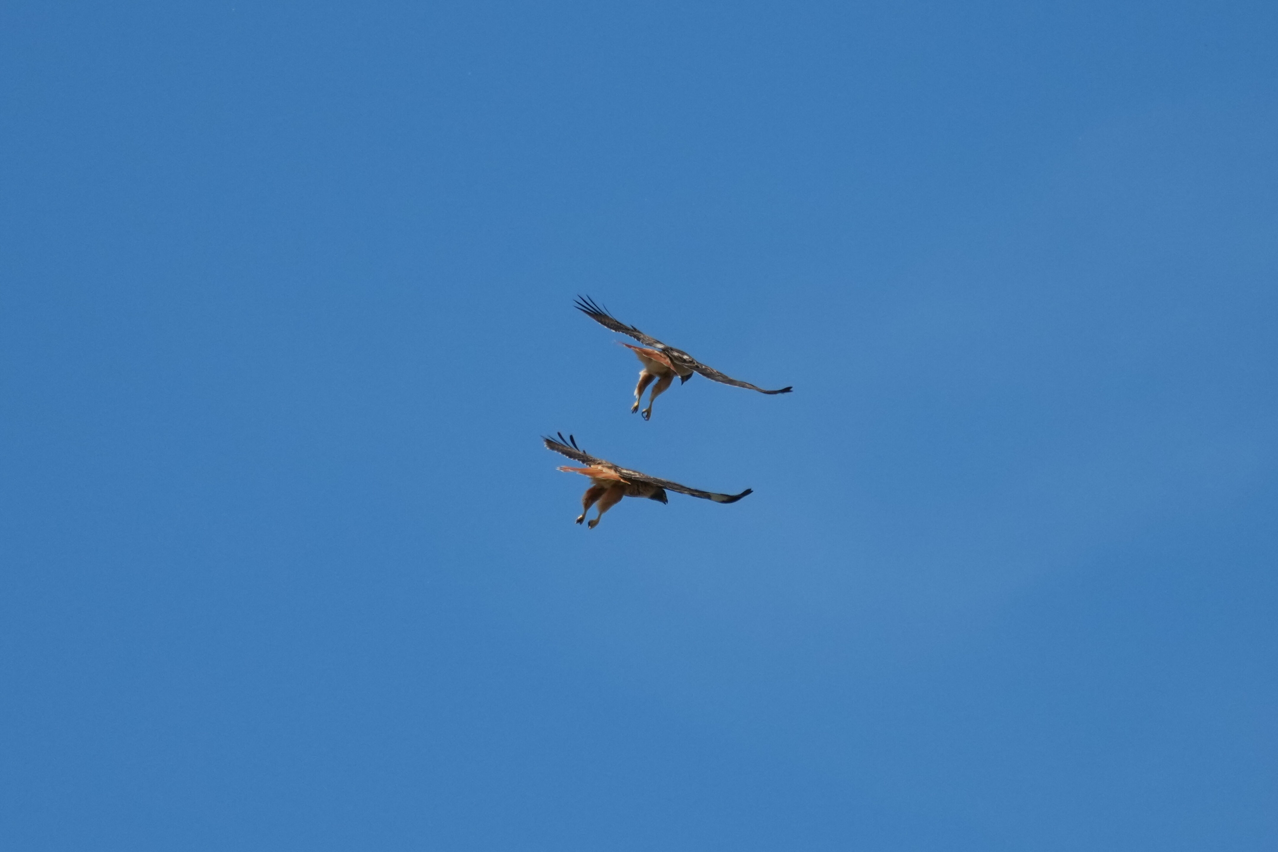Contra Costa Canal Regional Trail