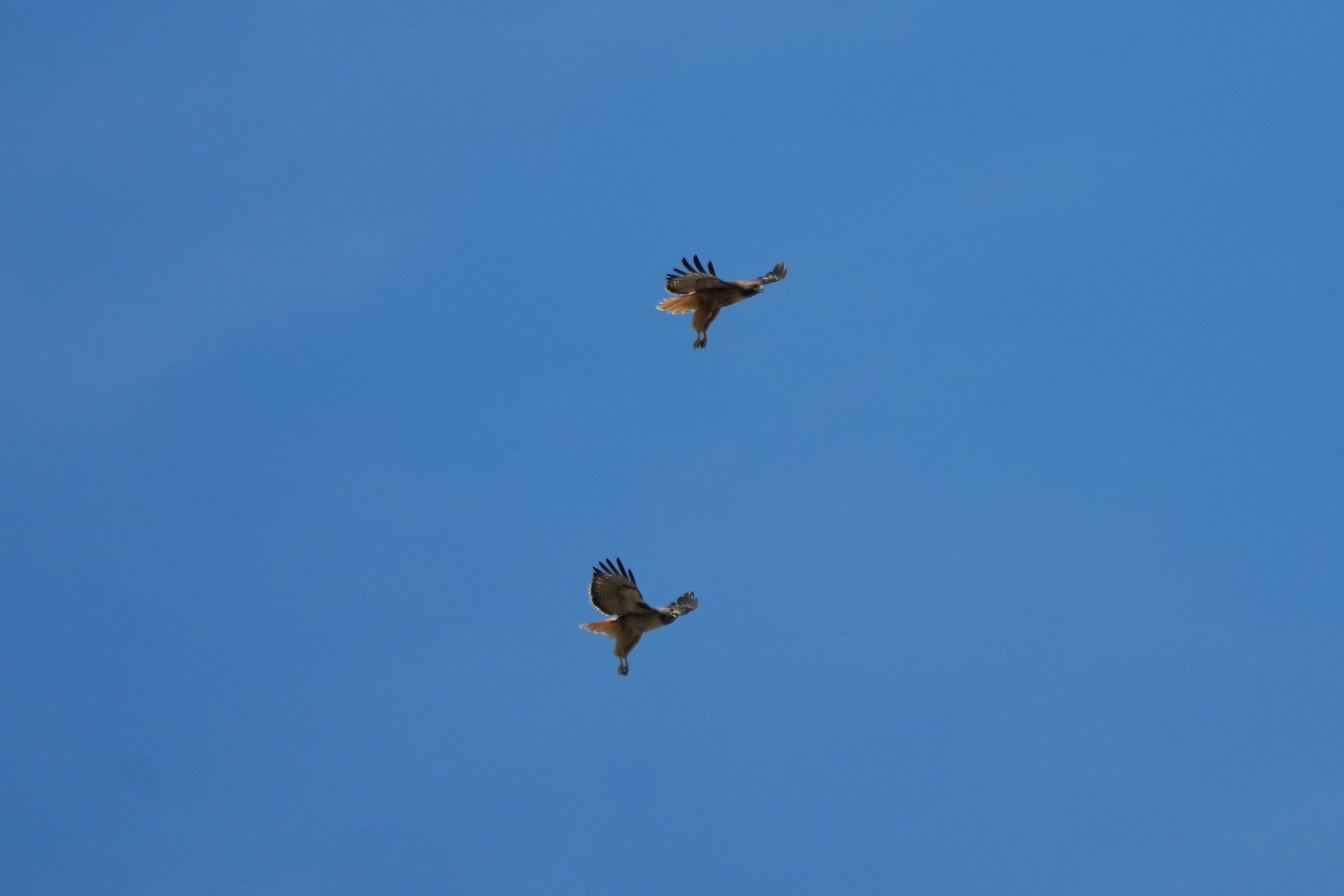 Contra Costa Canal Regional Trail