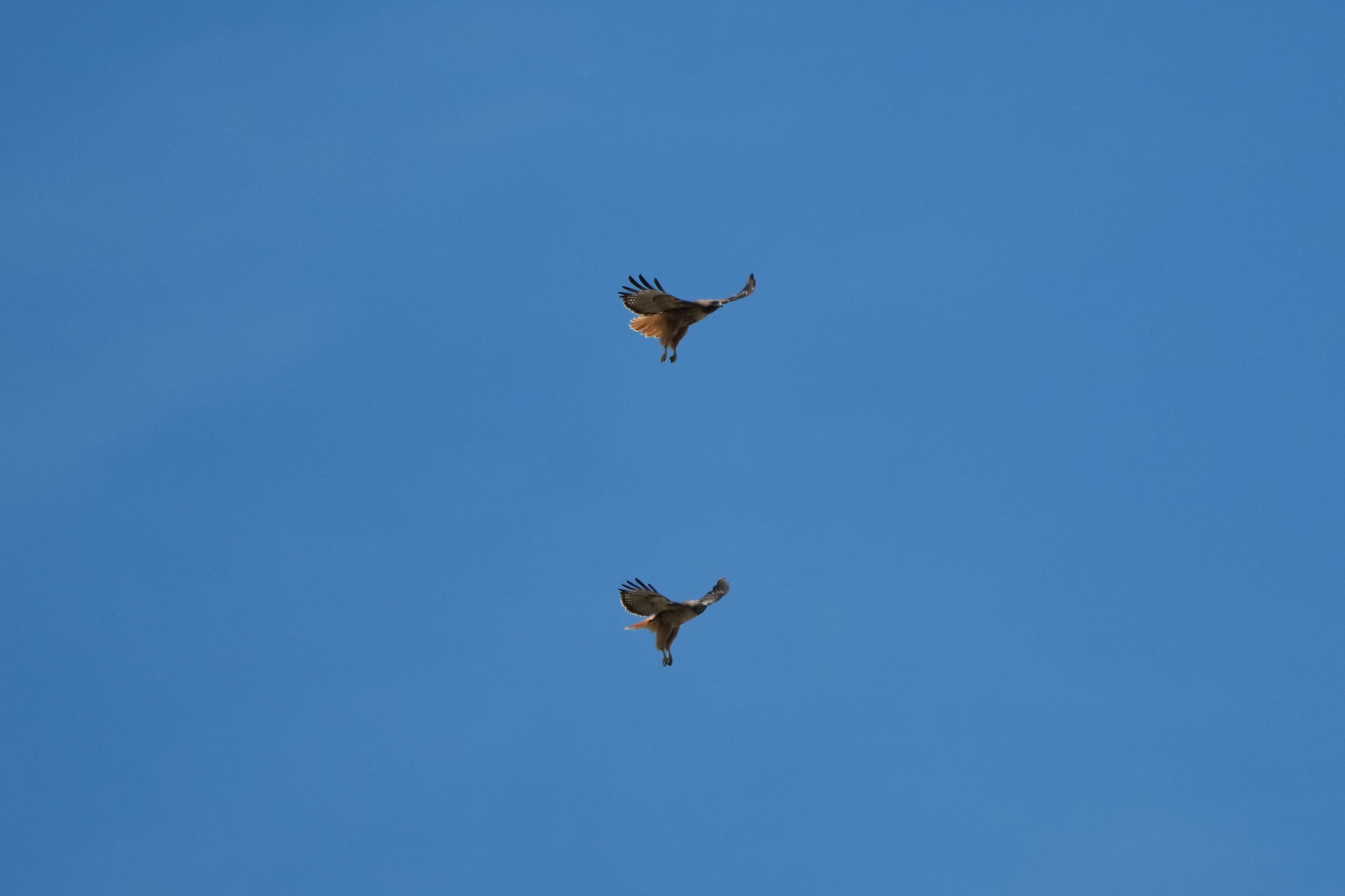 Contra Costa Canal Regional Trail