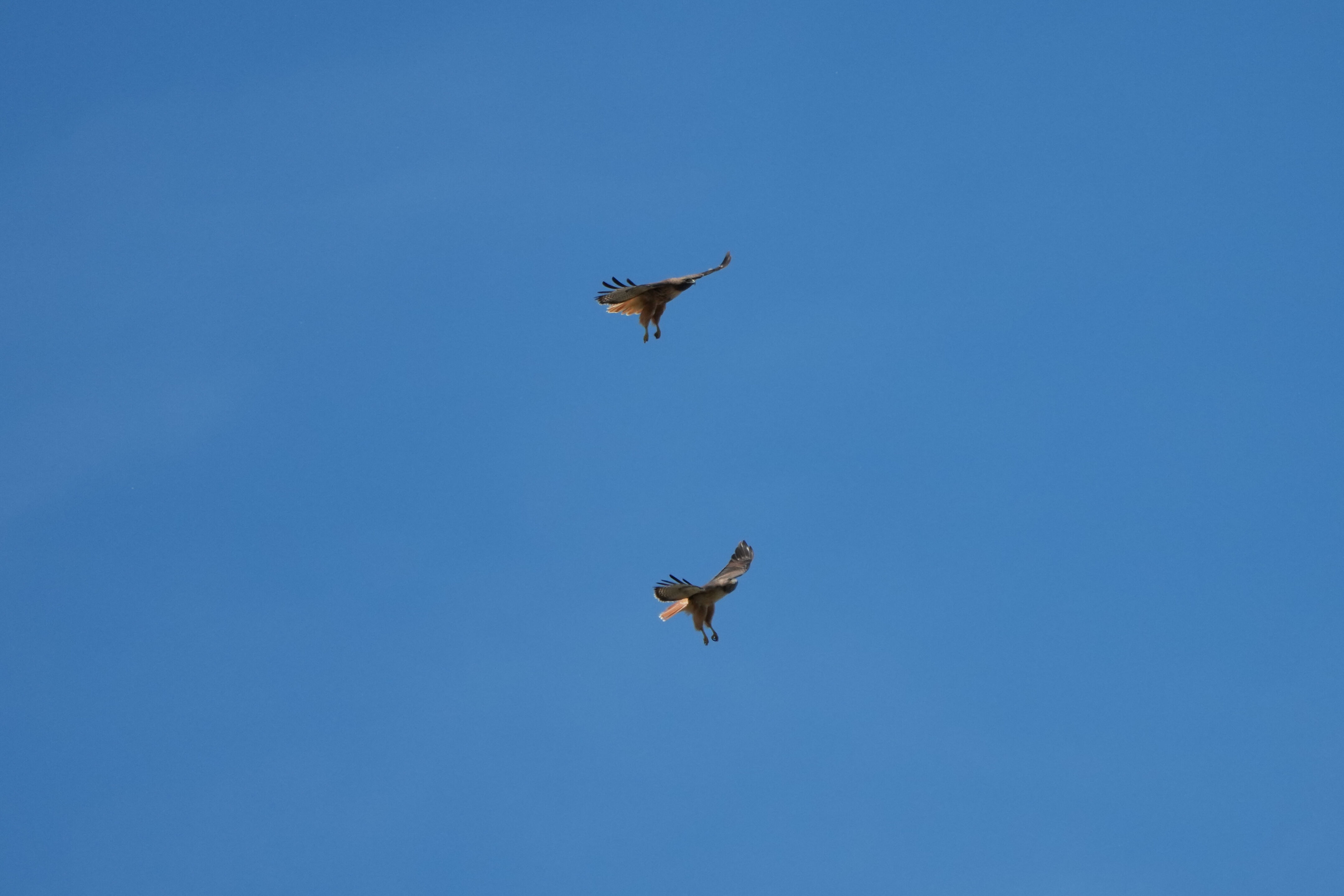 Contra Costa Canal Regional Trail