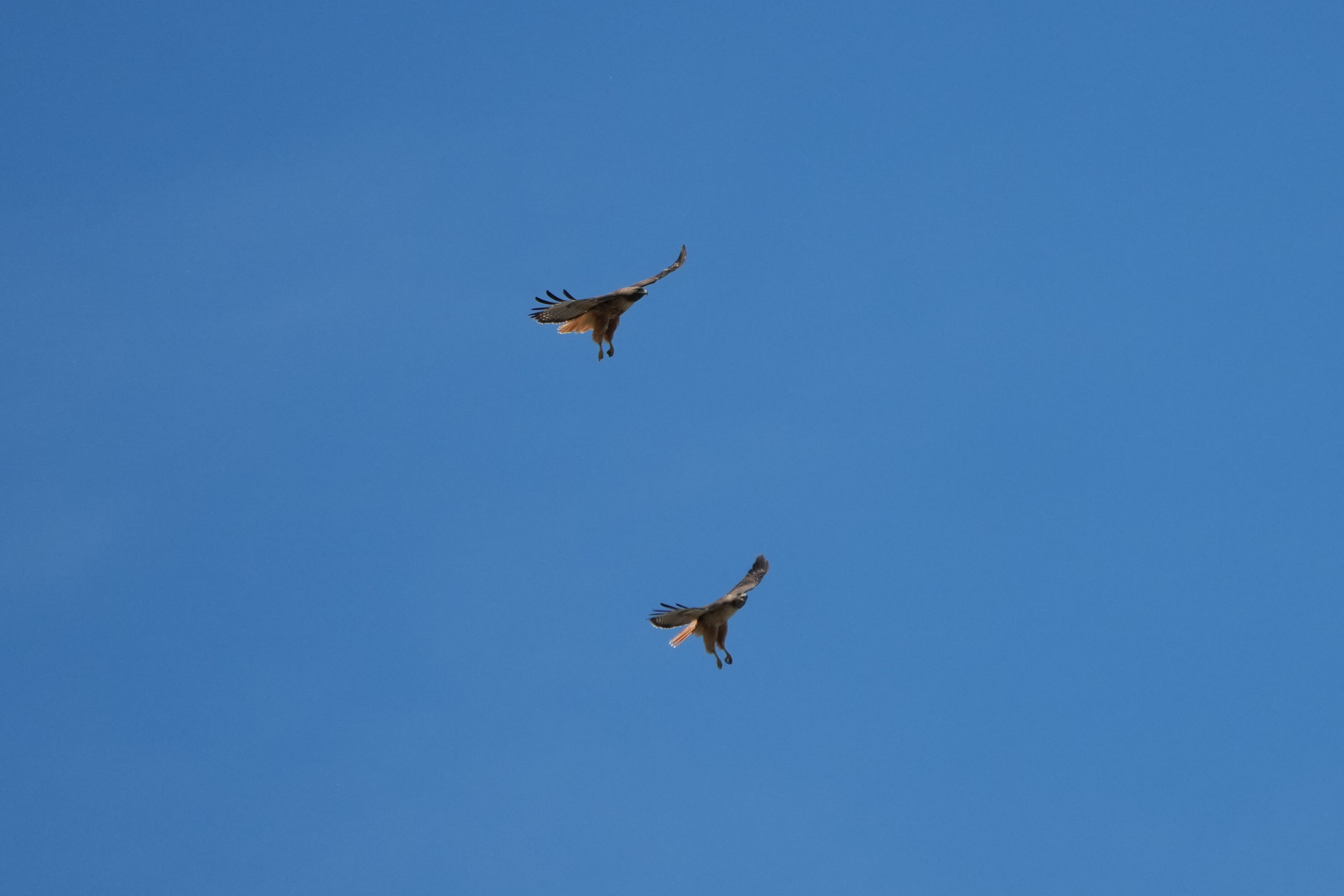 Contra Costa Canal Regional Trail