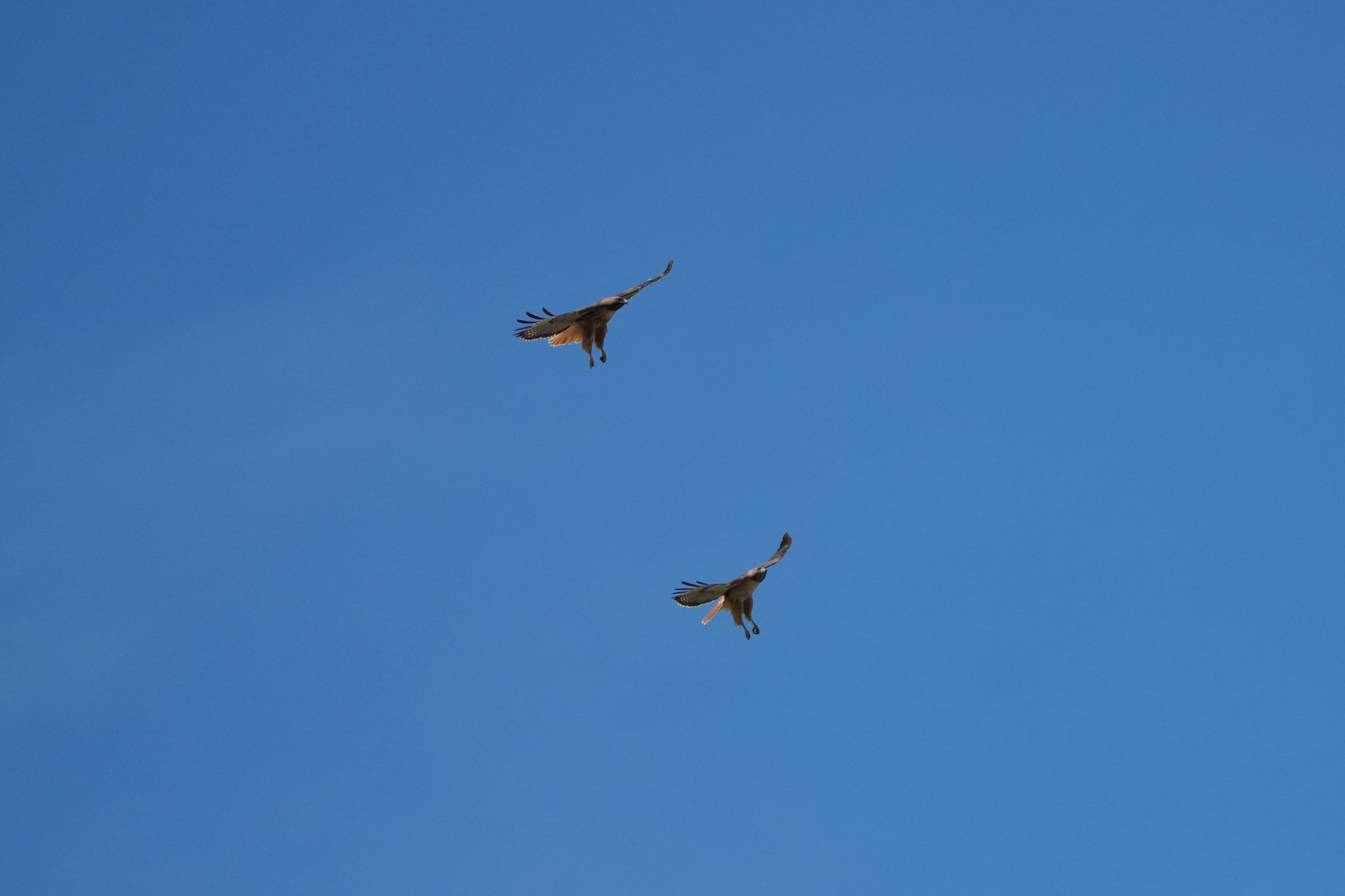 Contra Costa Canal Regional Trail