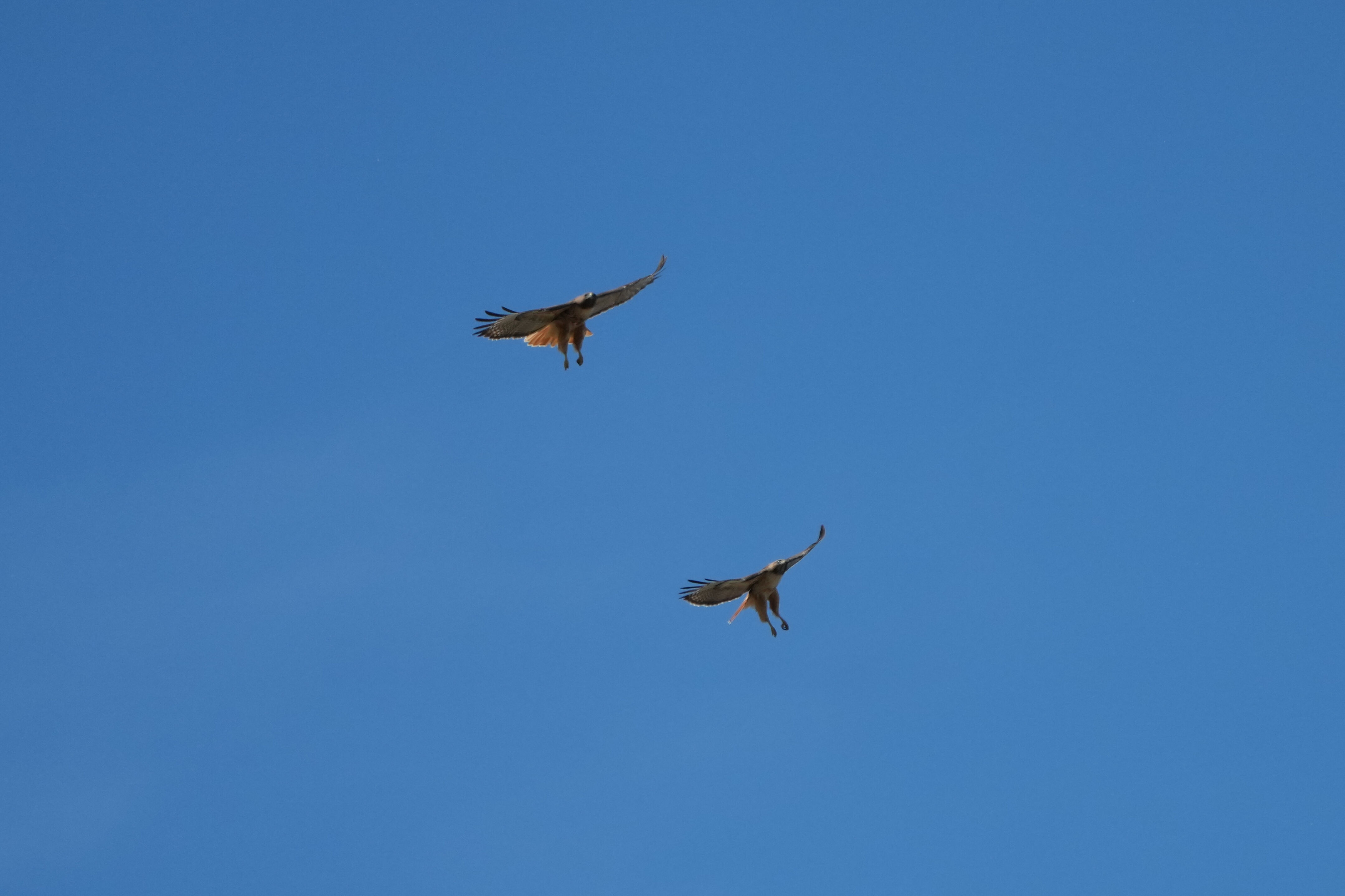 Contra Costa Canal Regional Trail