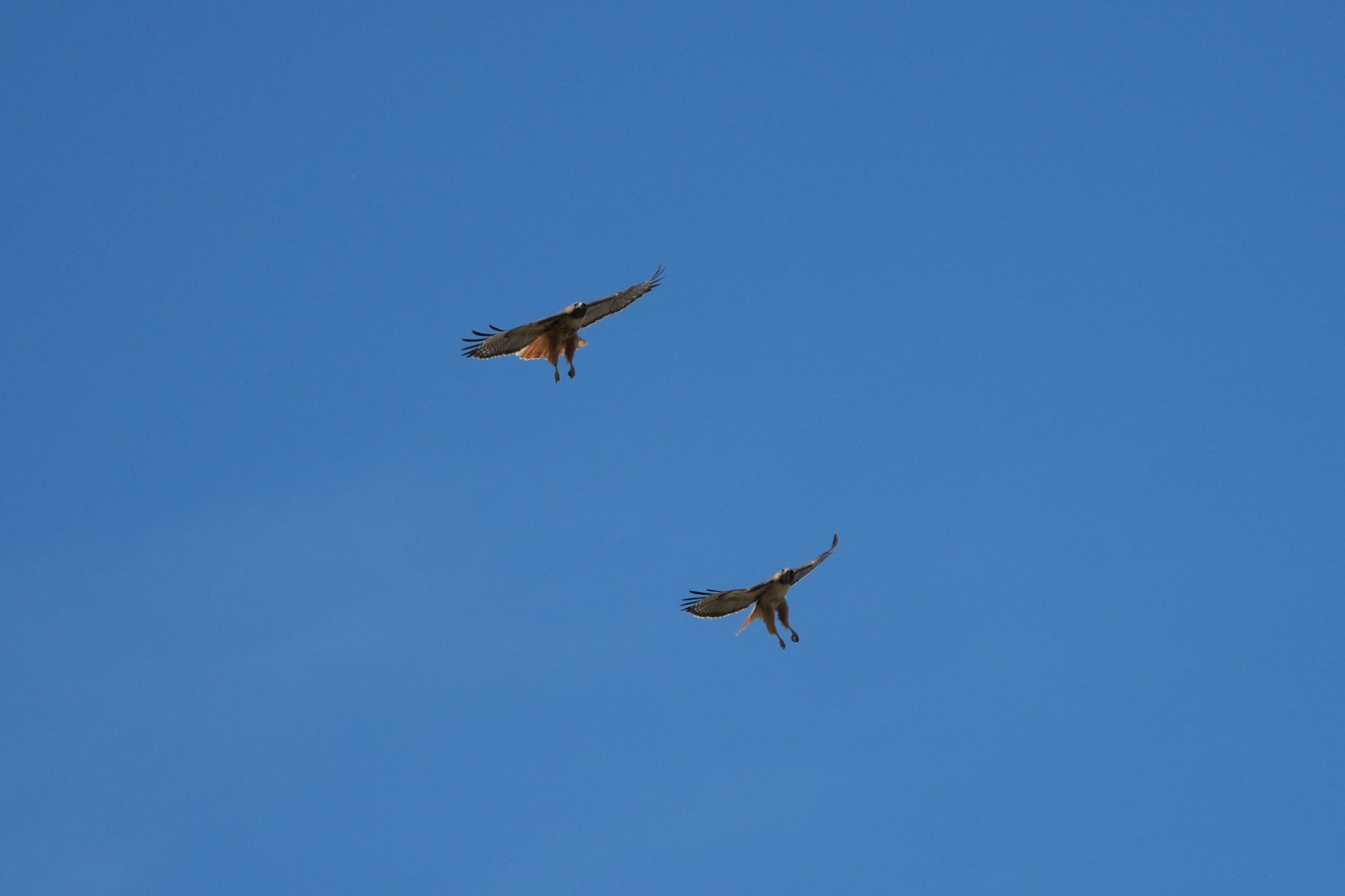 Contra Costa Canal Regional Trail