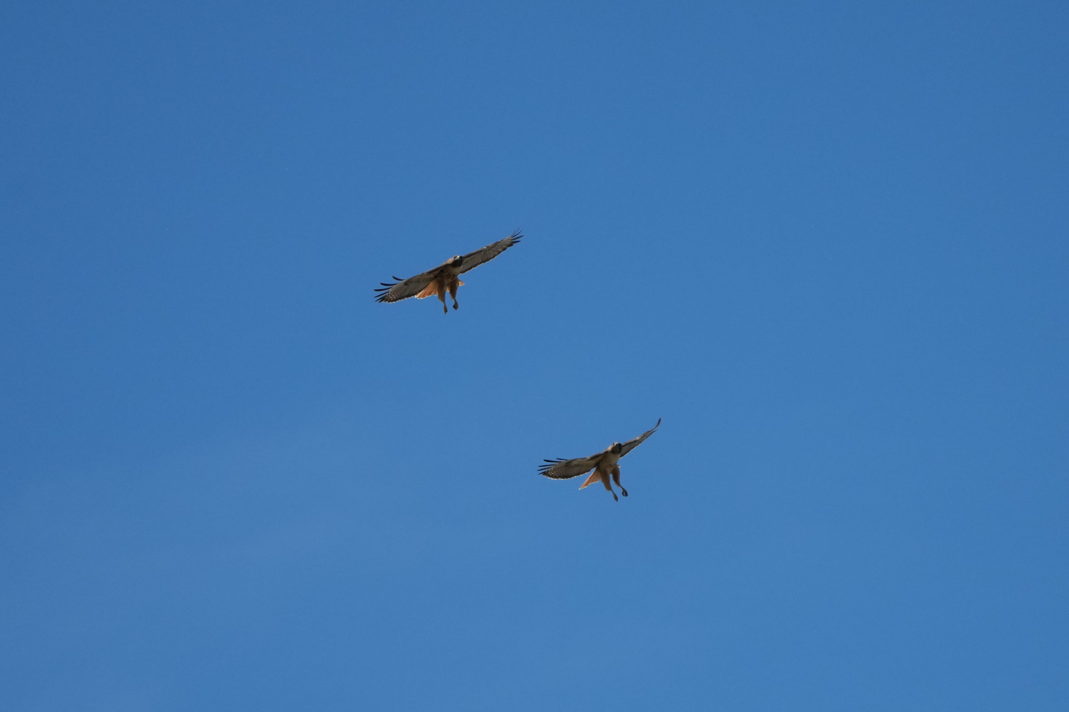 Contra Costa Canal Regional Trail