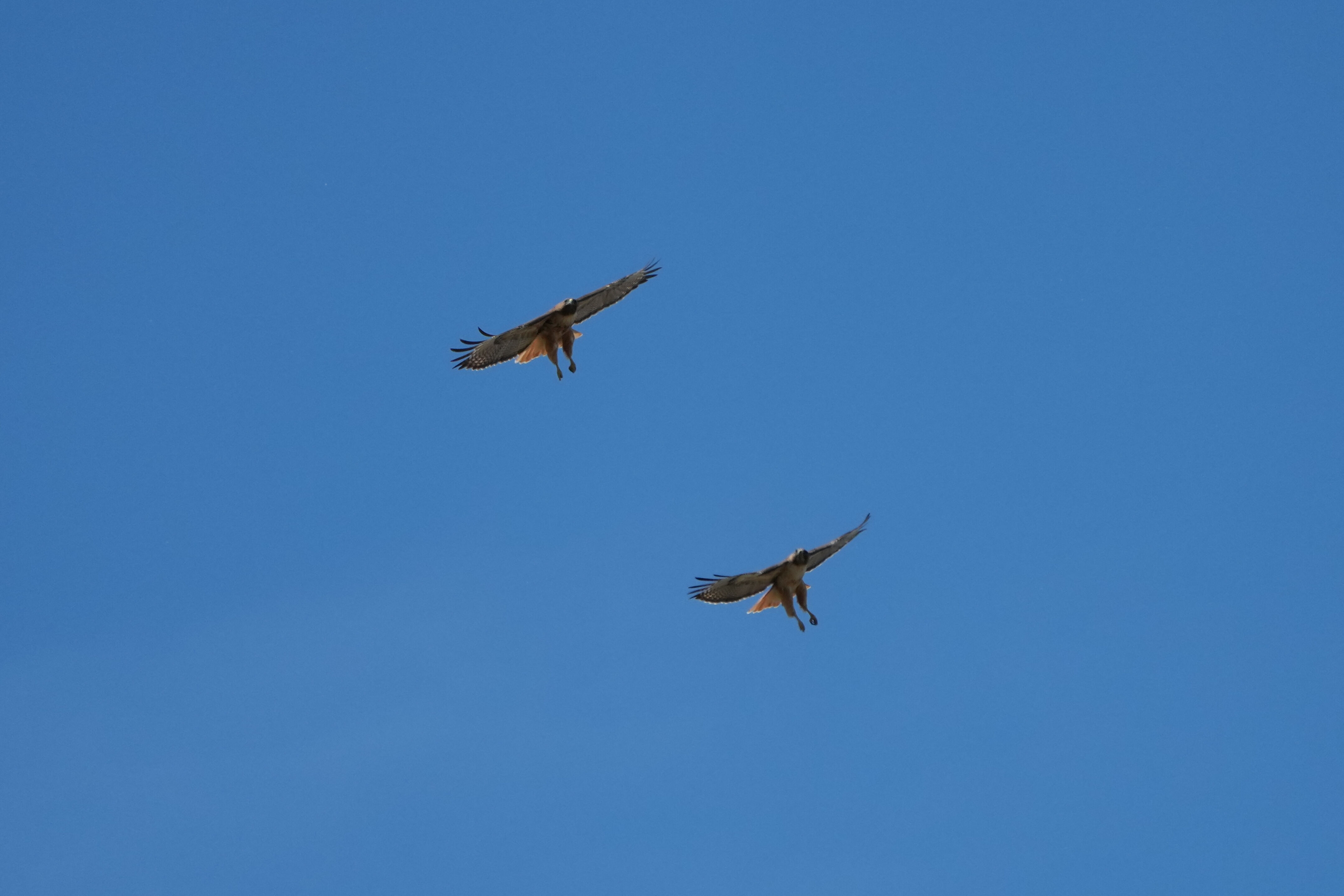 Contra Costa Canal Regional Trail