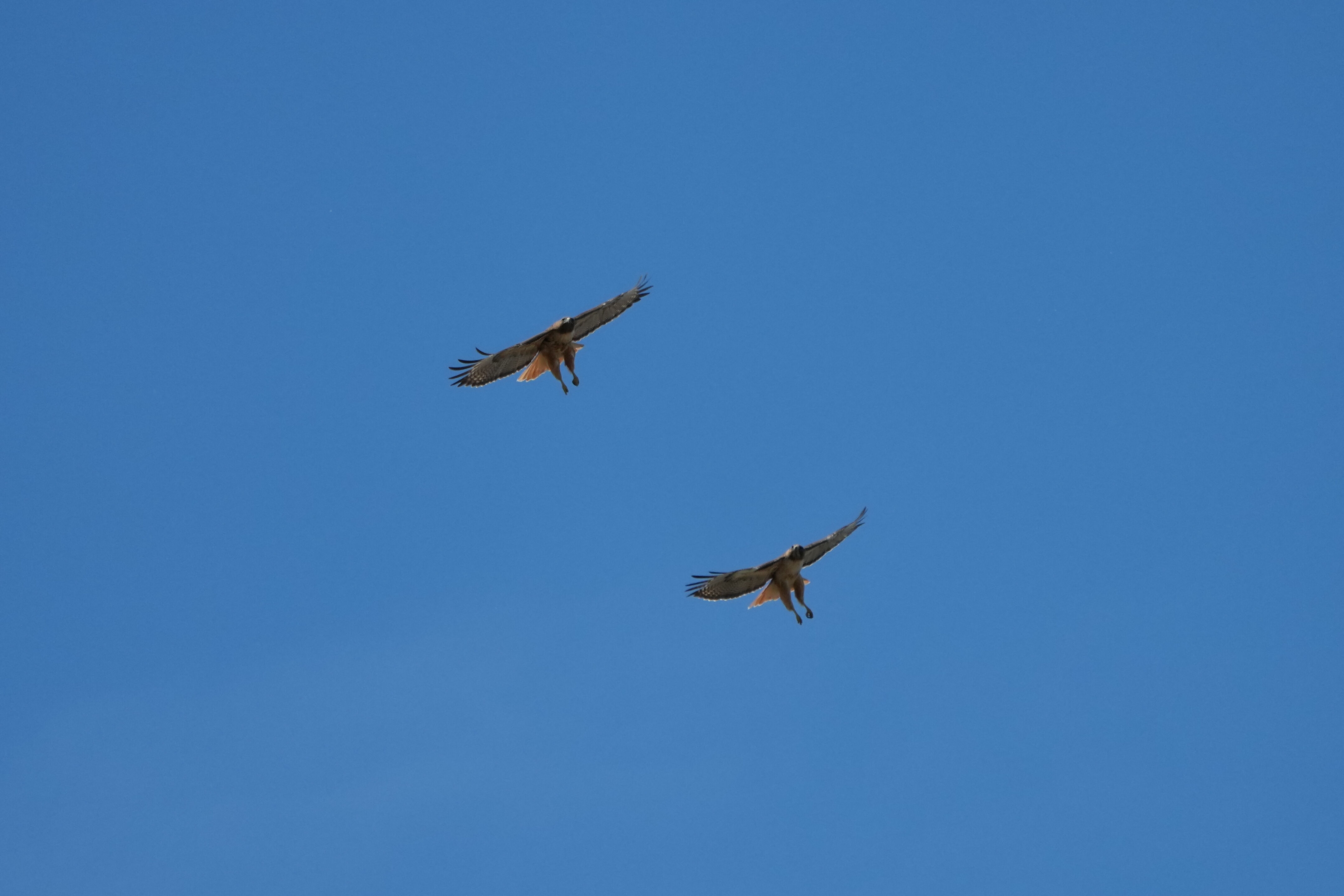 Contra Costa Canal Regional Trail